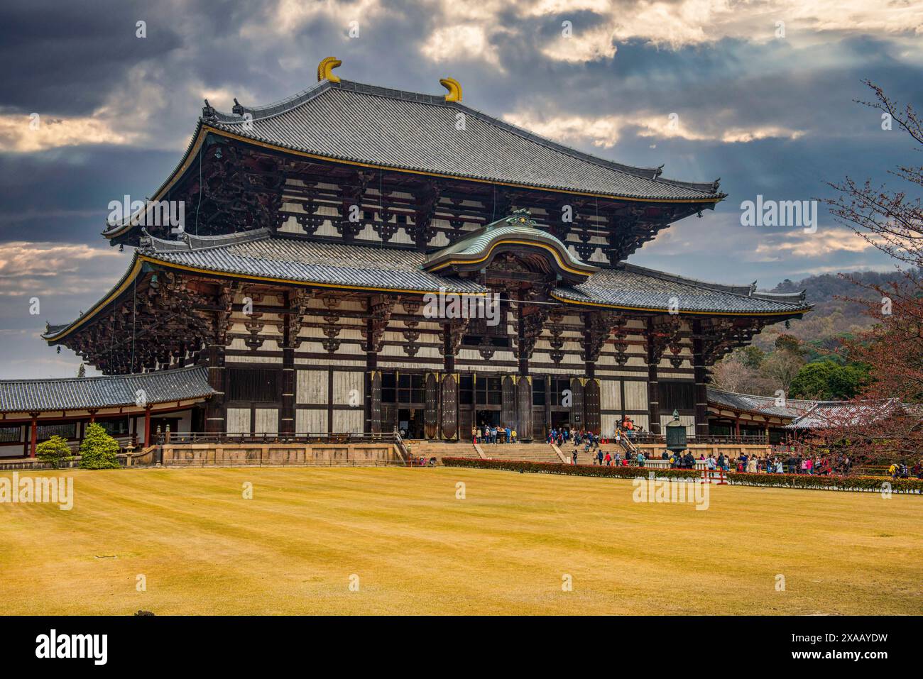 Todaiji-Tempel, UNESCO-Weltkulturerbe, Nara, Kansai, Honshu, Japan, Asien Stockfoto