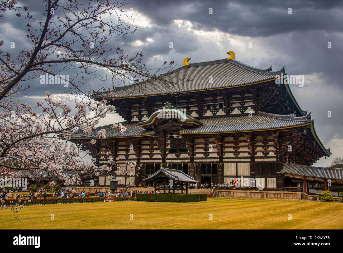 Todaiji-Tempel, UNESCO-Weltkulturerbe, Nara, Kansai, Honshu, Japan, Asien Stockfoto