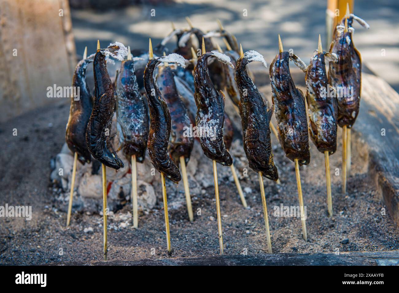 Geräucherter Fisch auf Stöcken, UNESCO-Weltkulturerbe, Nikko, Präfektur Tochigi, Kanto, Honshu, Japan, Asien Stockfoto