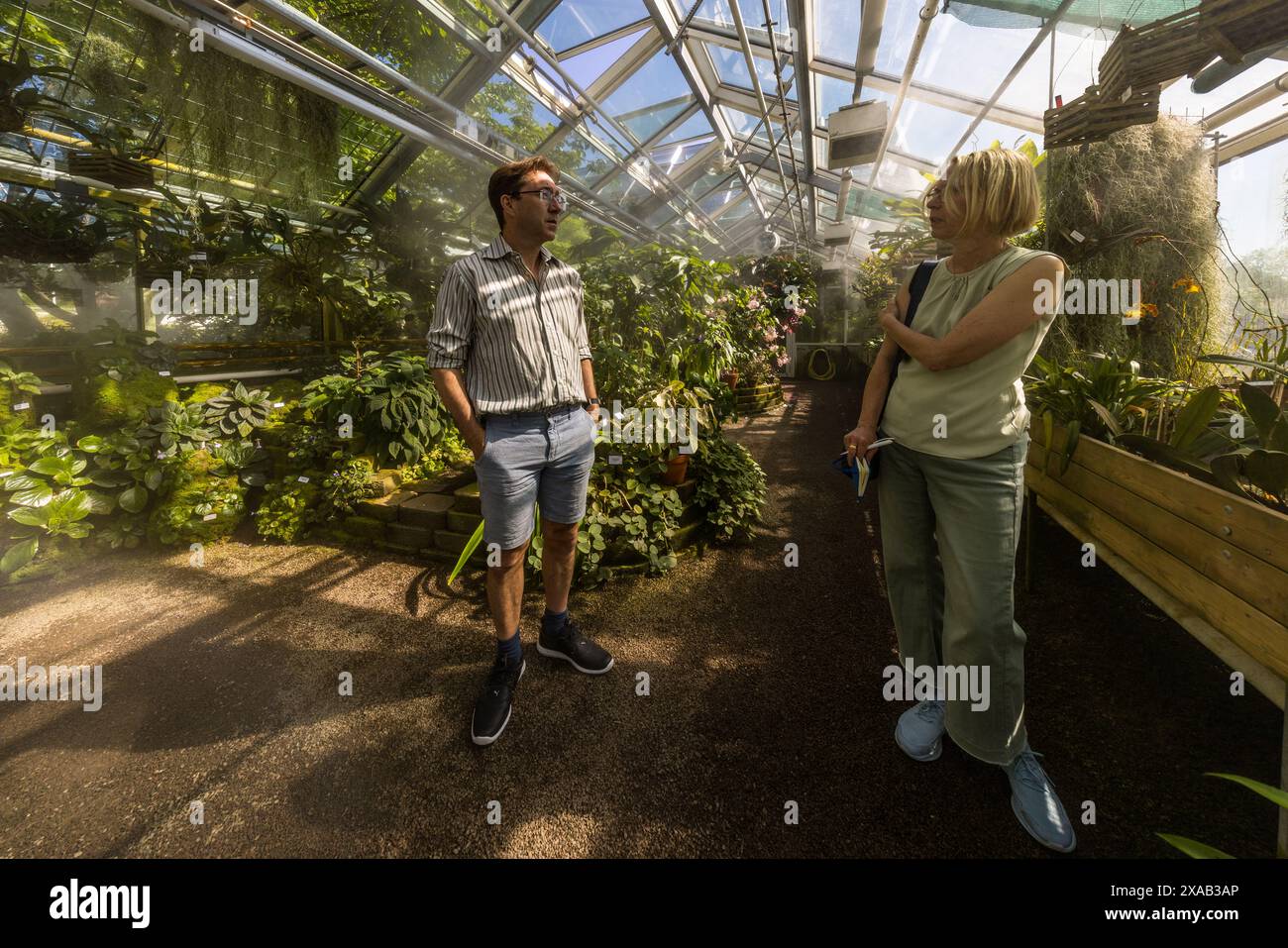 Gewächshaus für tropische Pflanzen im Botanischen Garten Uppsala. Triangeln, Uppsala, Schweden Stockfoto