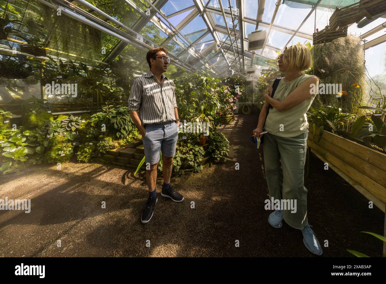 Jesper Kårehed, wissenschaftlicher Kurator am Botanischen Garten der Universität Uppsala, unterhält sich mit der Journalistin Angela Berg unter dem Glasdach des tropischen Gewächshauses, umgeben von üppiger Bepflanzung und hängenden Orchideen. Triangeln, Uppsala, Uppsala län, Schweden. Stockfoto