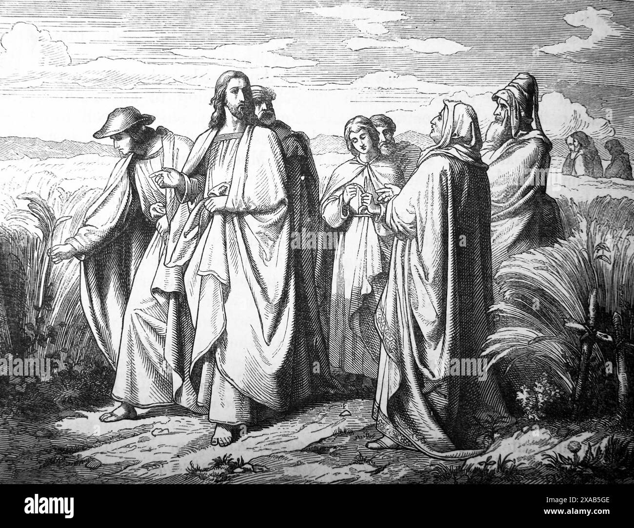 Holzgravierung von Jesus Christus und den Pharisäern auf einem Maisfeld „der Menschensohn ist Herr auch am Sabbath“ Evangelium von Markus aus dem 19. Jahrhundert illustr Stockfoto