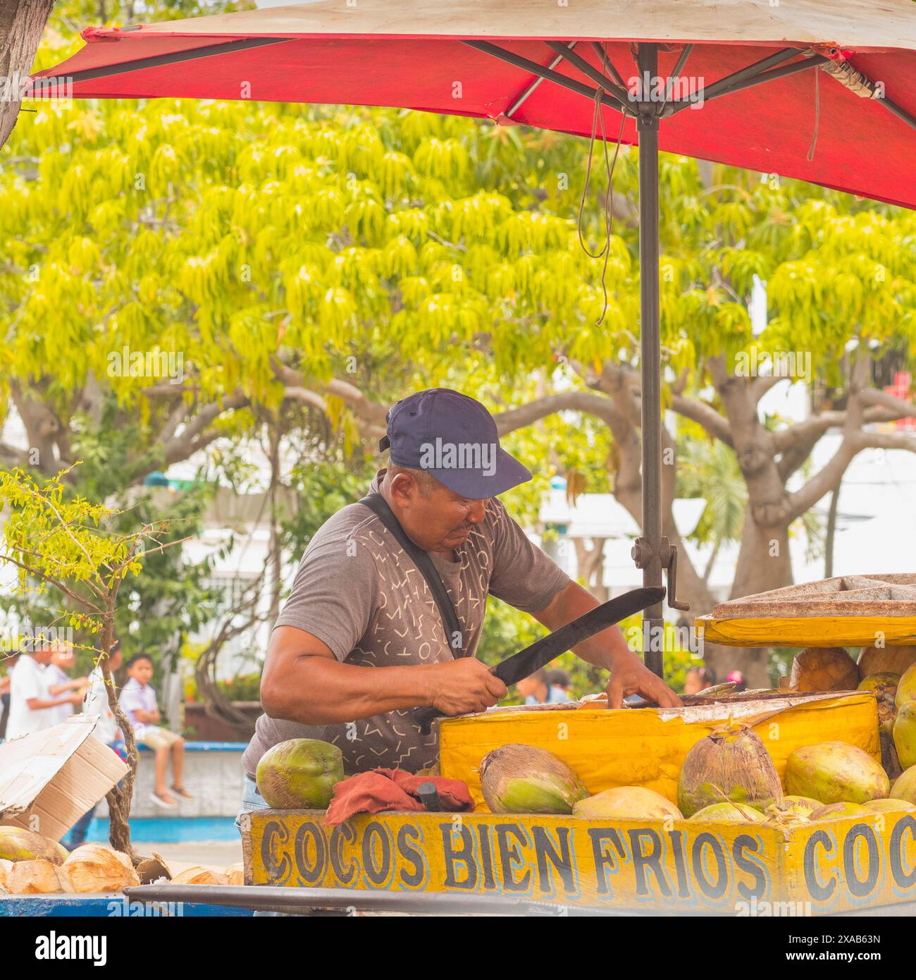 Coconut's Verkäufer Stockfoto