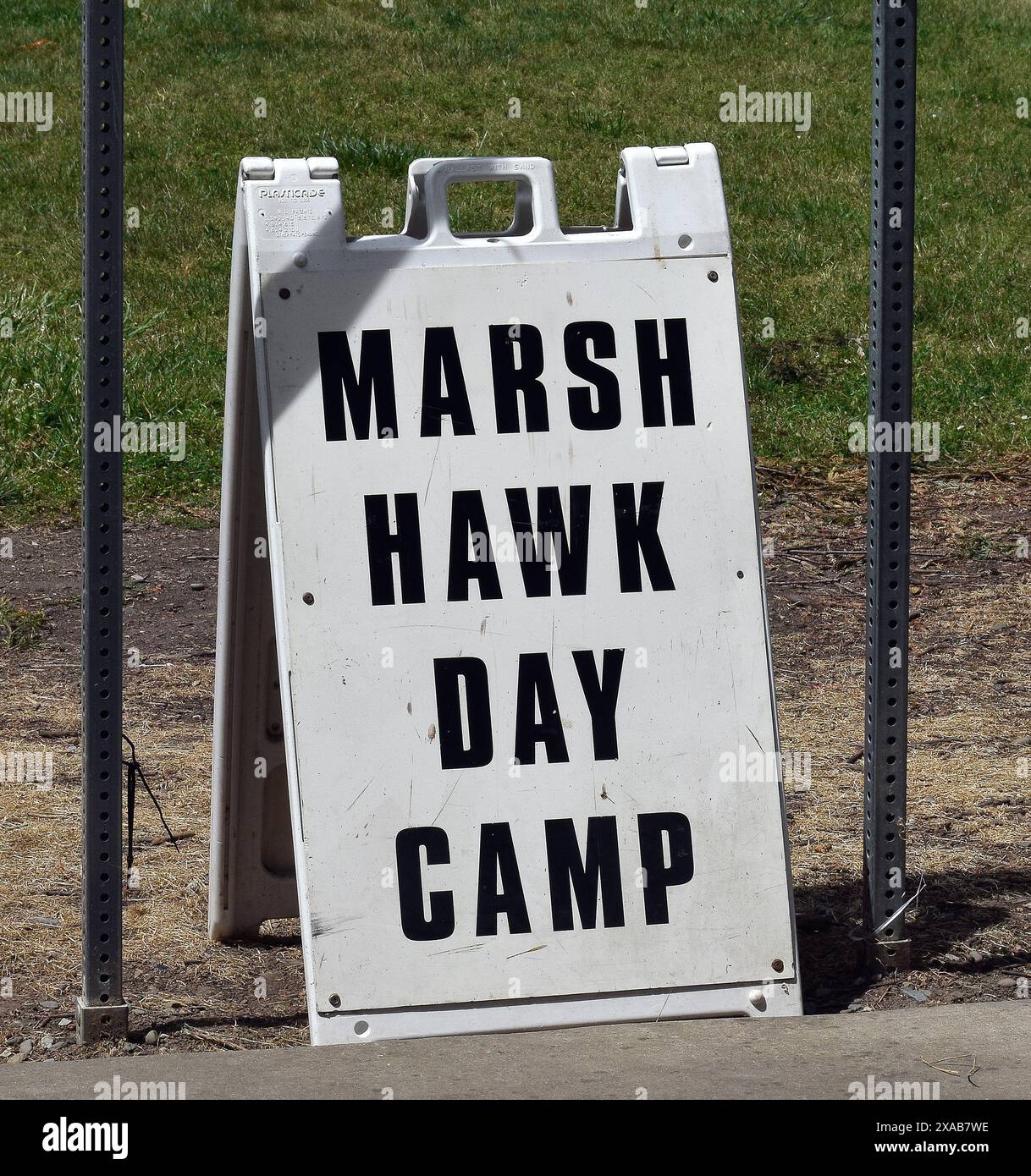 Marsh Hawk Day Camp für Kinder von 8 bis 11 1/2 im Cann Park. Union City, Kalifornien Stockfoto