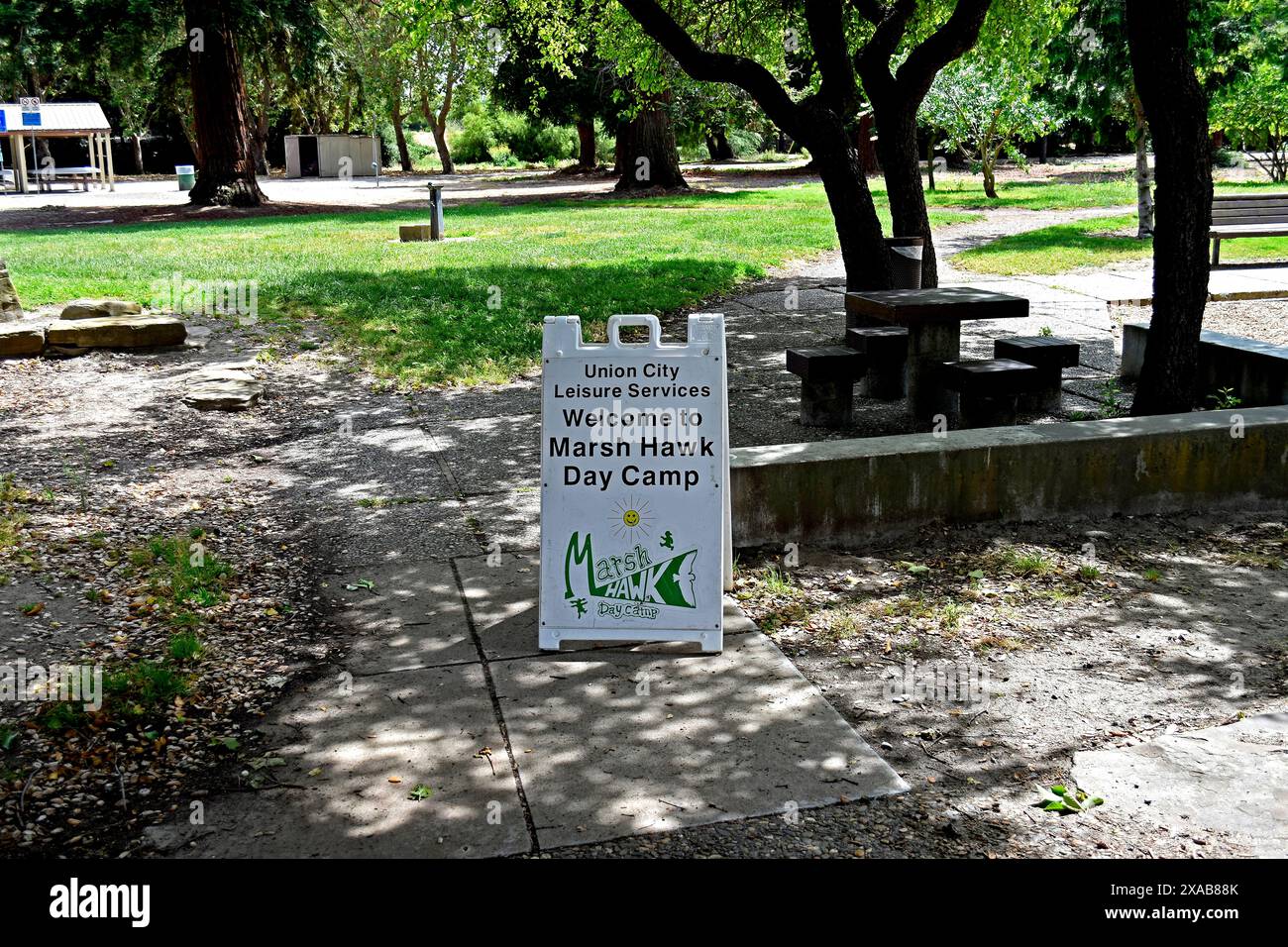 Marsh Hawk Day Camp für Kinder von 8 bis 11 1/2 im Cann Park. Union City, Kalifornien Stockfoto