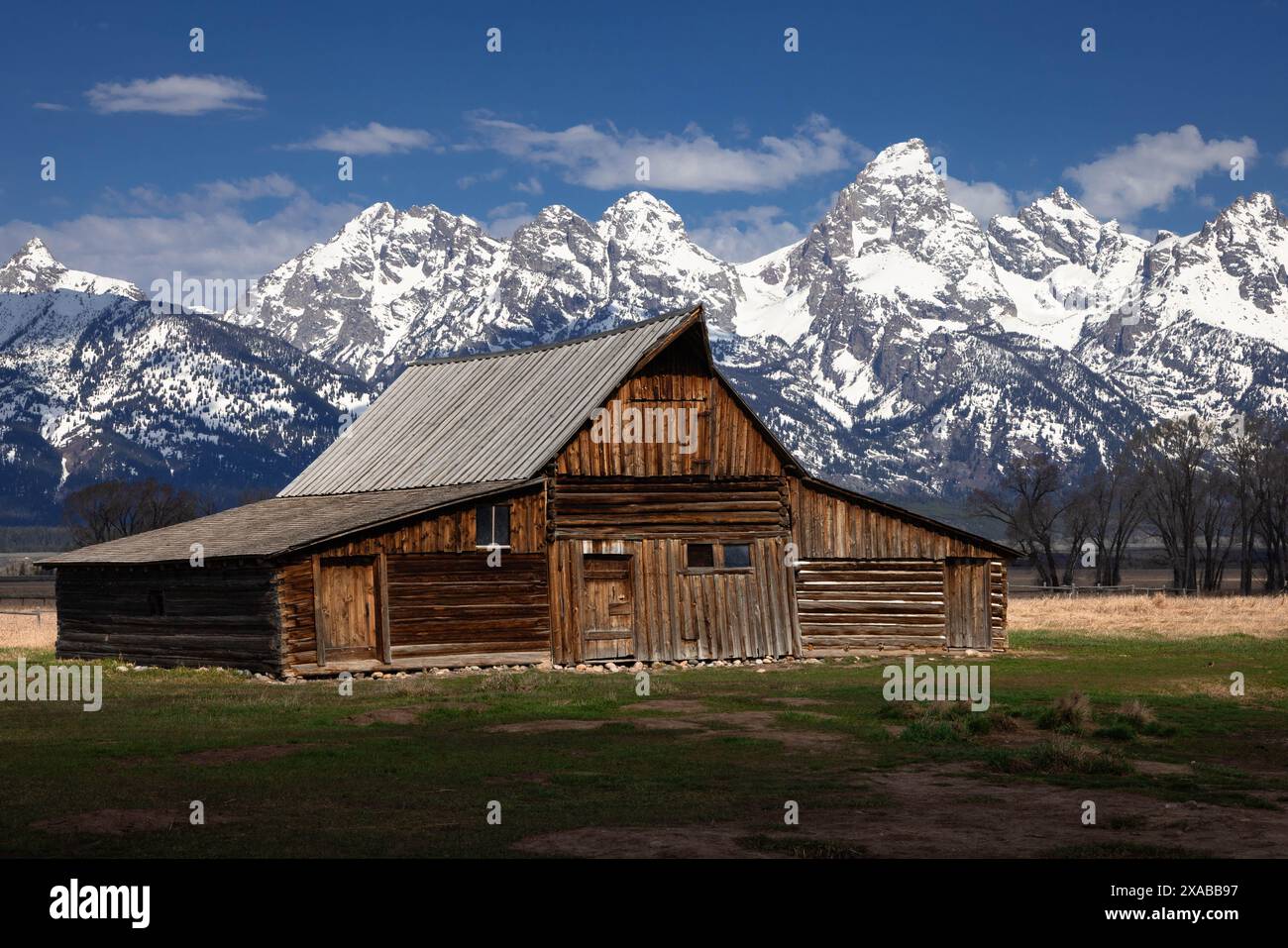 Die T.A. Moulton Barn, die im Frühjahr unterhalb der Teton Mountains steht. Grand Teton National Park, Wyoming Stockfoto