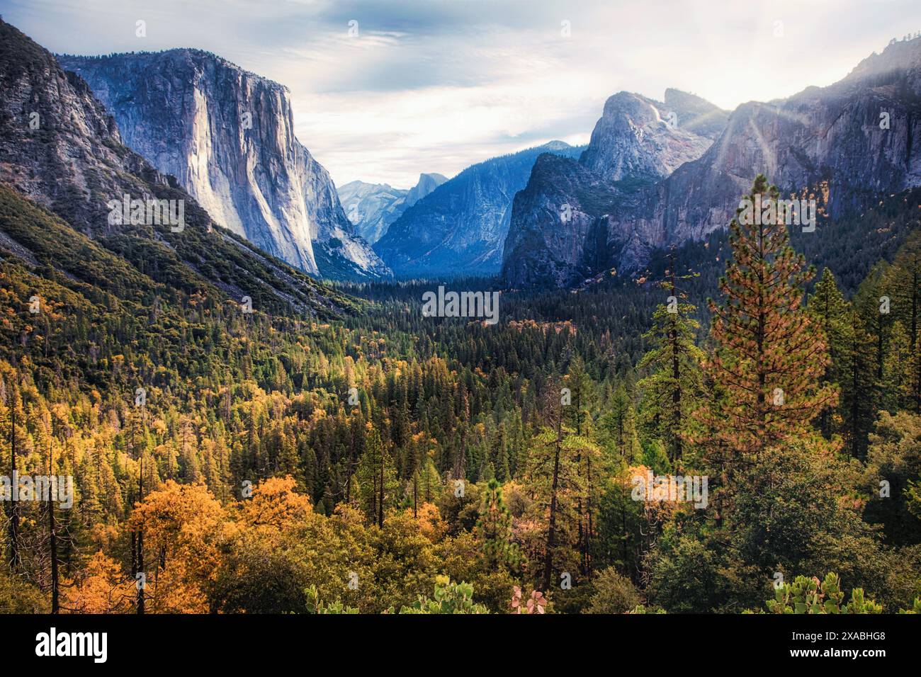 Yosemite Valley in Kalifornien zeigt seine Herbstfarbe. Stockfoto