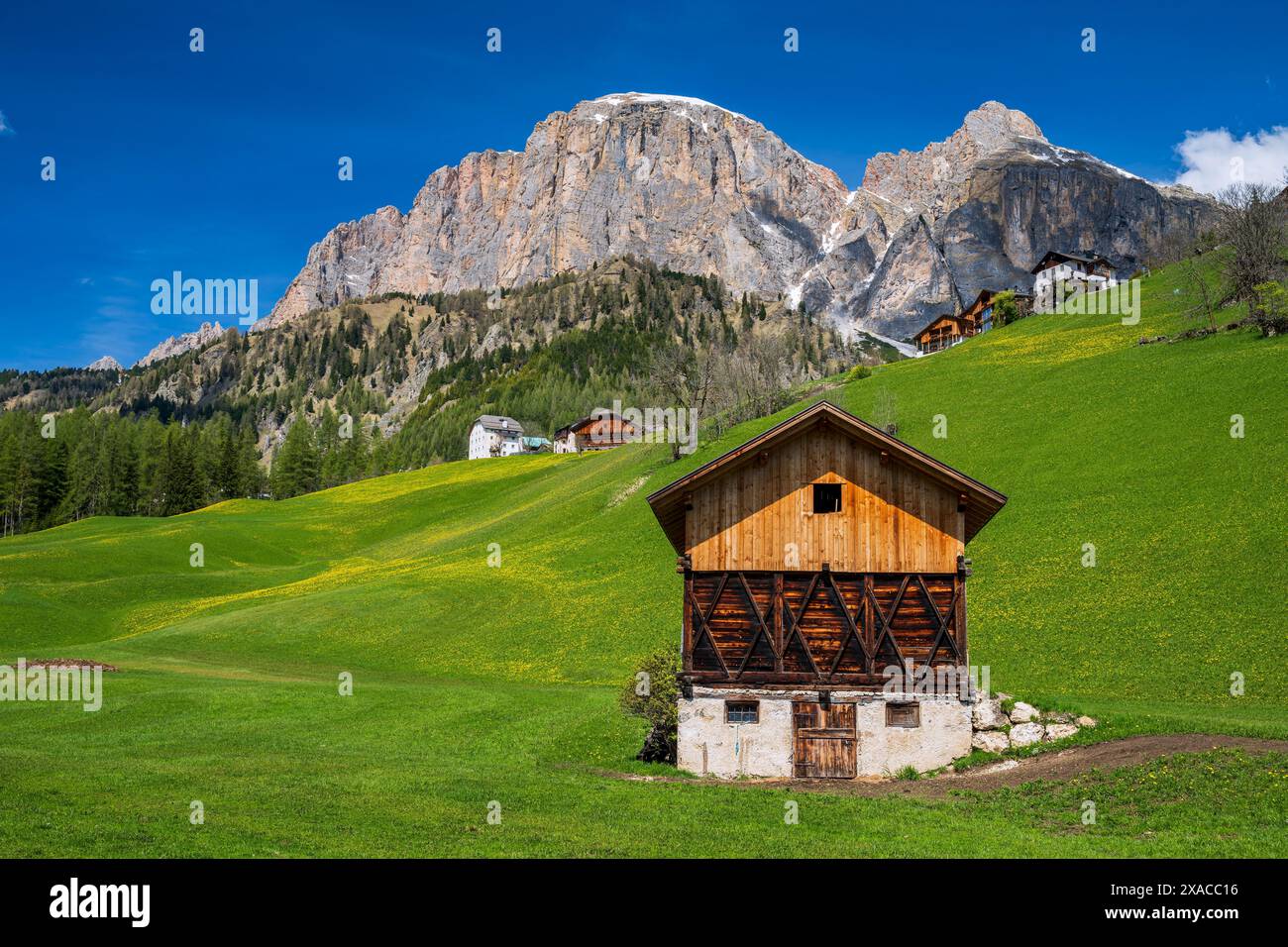 Malerische Berglandschaft im Frühling, Colfosco-Calfosch, Val Badia, Dolomiten, Südtirol, Italien Stockfoto