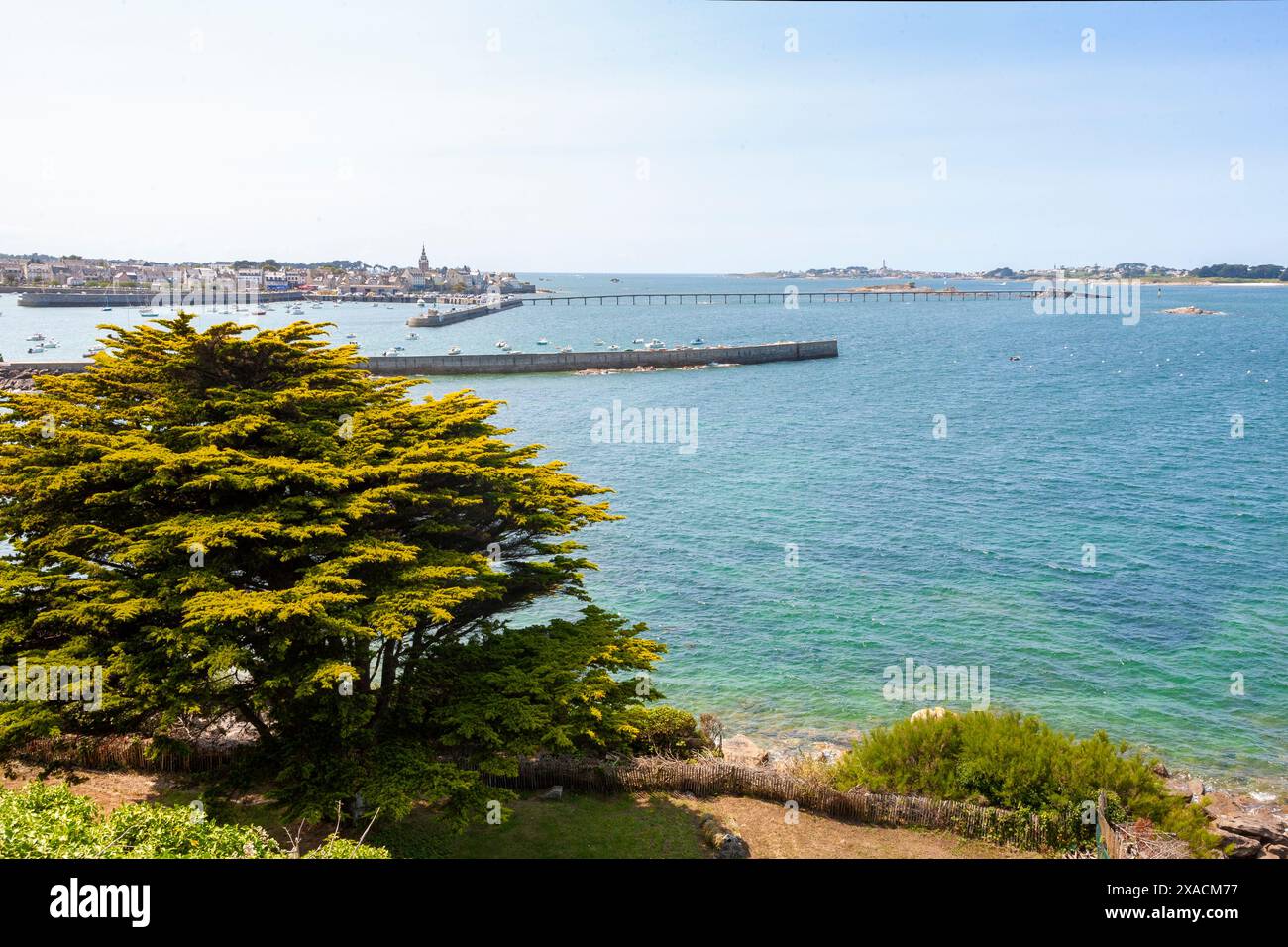 Blick über den alten Hafen von Roscoff von der Pointe de Bloscon, Finistère, Bretagne, Frankreich Stockfoto