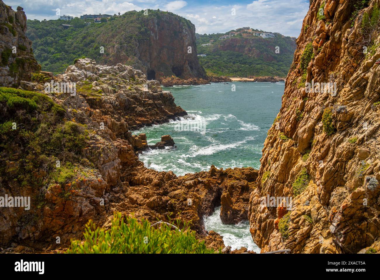 Blick auf den Küstenweg und die Küste im Featherbed Nature Reserve, Knysna, Garden Route, Western Cape, Südafrika, Afrika Copyright: Fr Stockfoto