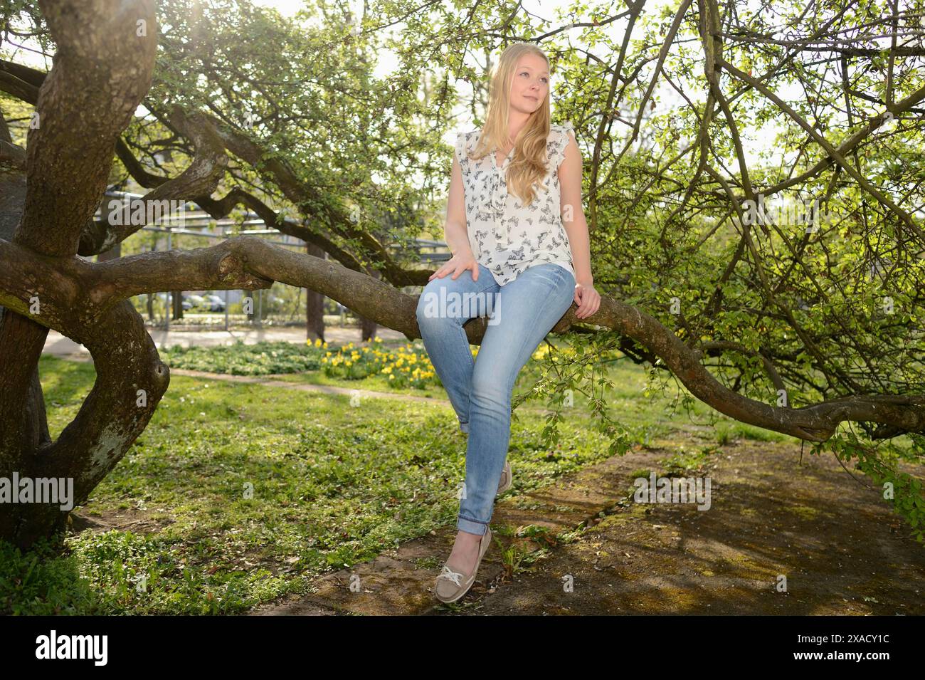 Frau mit blonden Haaren in lässigem Outfit sitzt auf einem Baumzweig, umgeben von grünen Blättern, in einer sonnendurchfluteten Umgebung im Freien Stockfoto