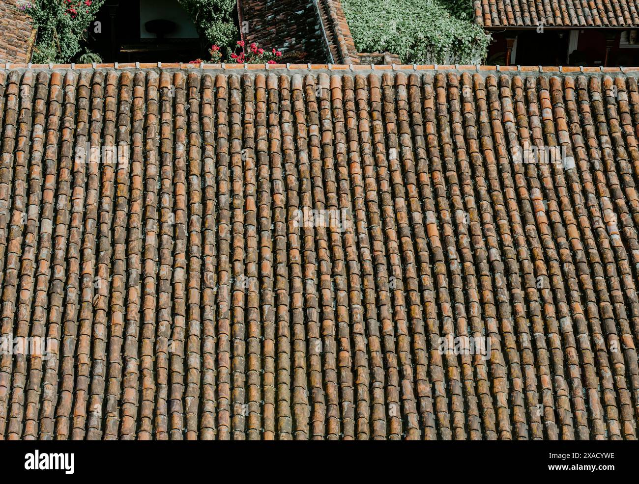 Details eines Terrakottadachs. Hintergrund alter Tonfliesen Stockfoto