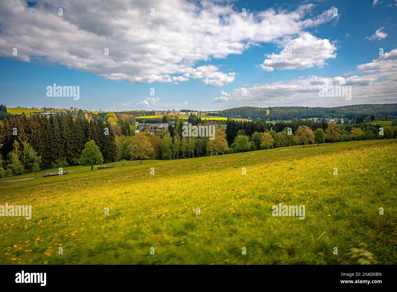 Blick auf Wald und Wiese im Vogtland, Schönheide, Sachsen, Deutschland Stockfoto