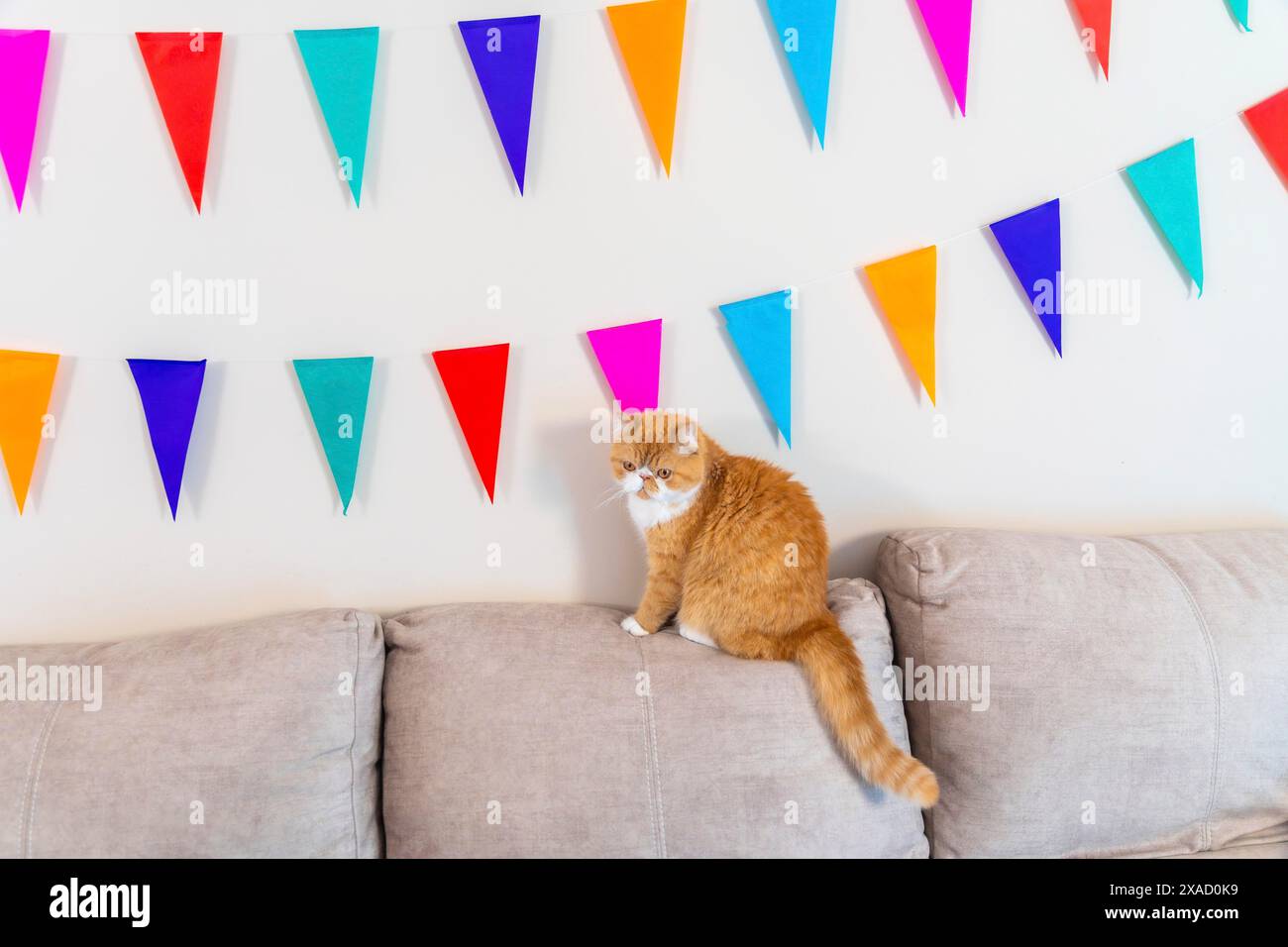 Die Haushalte saßen über einem Sofa neben Partygirlanden in einem Haus Stockfoto