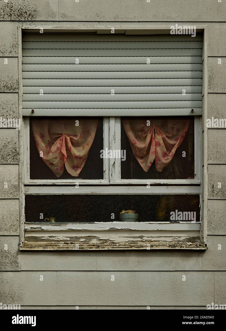 Altes, verwittertes weißes Fenster, das seltsam mit altmodischen pinken Vorhängen bedeckt ist Stockfoto