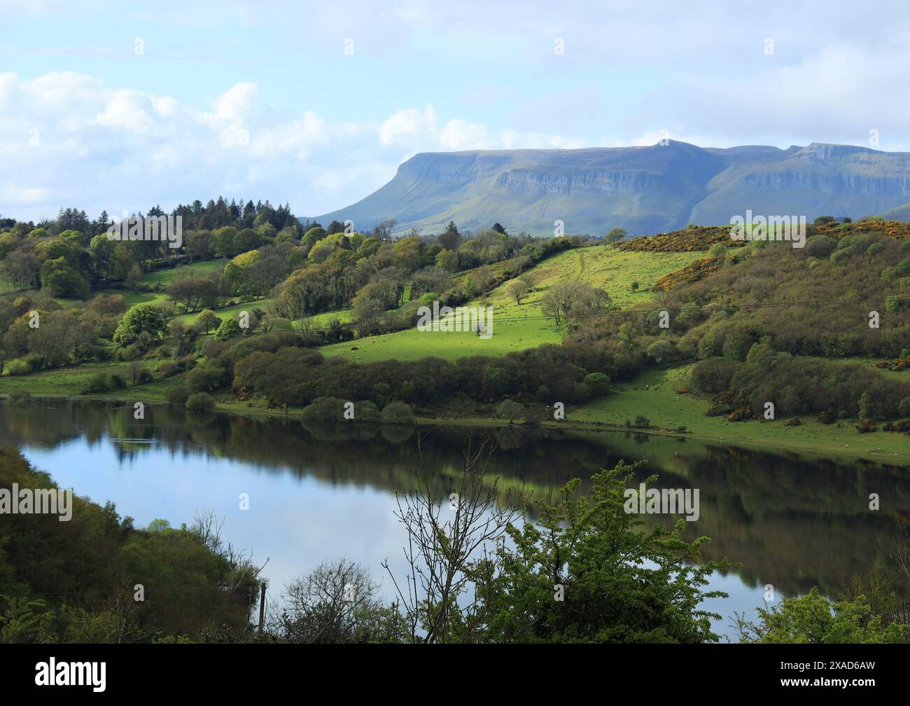 Landschaft im ländlichen County Sligo, Irland, mit stillen Gewässern des Lough Colgagh, einem Hügel, Wäldern mit dem Benbulben Mountain im Hinterland Stockfoto