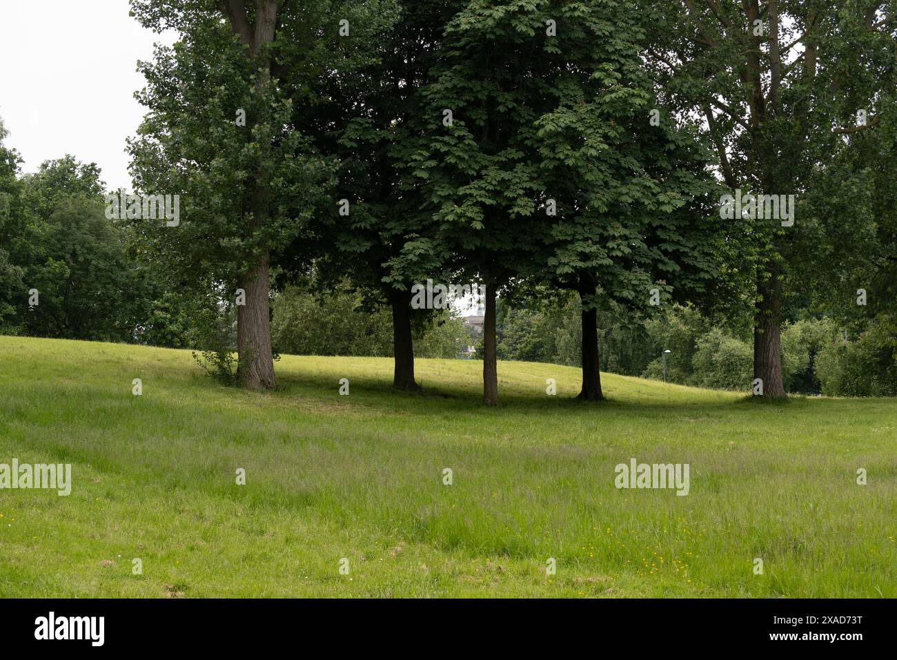 Great Kings Street Park, Newtown, Birmingham, Großbritannien Stockfoto