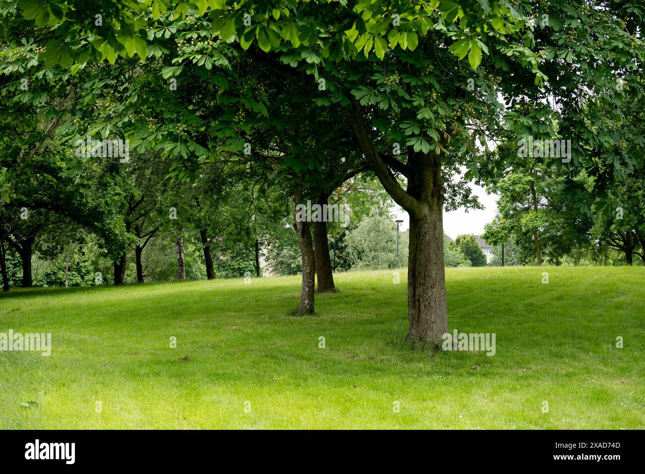 Great Kings Street Park, Newtown, Birmingham, Großbritannien Stockfoto