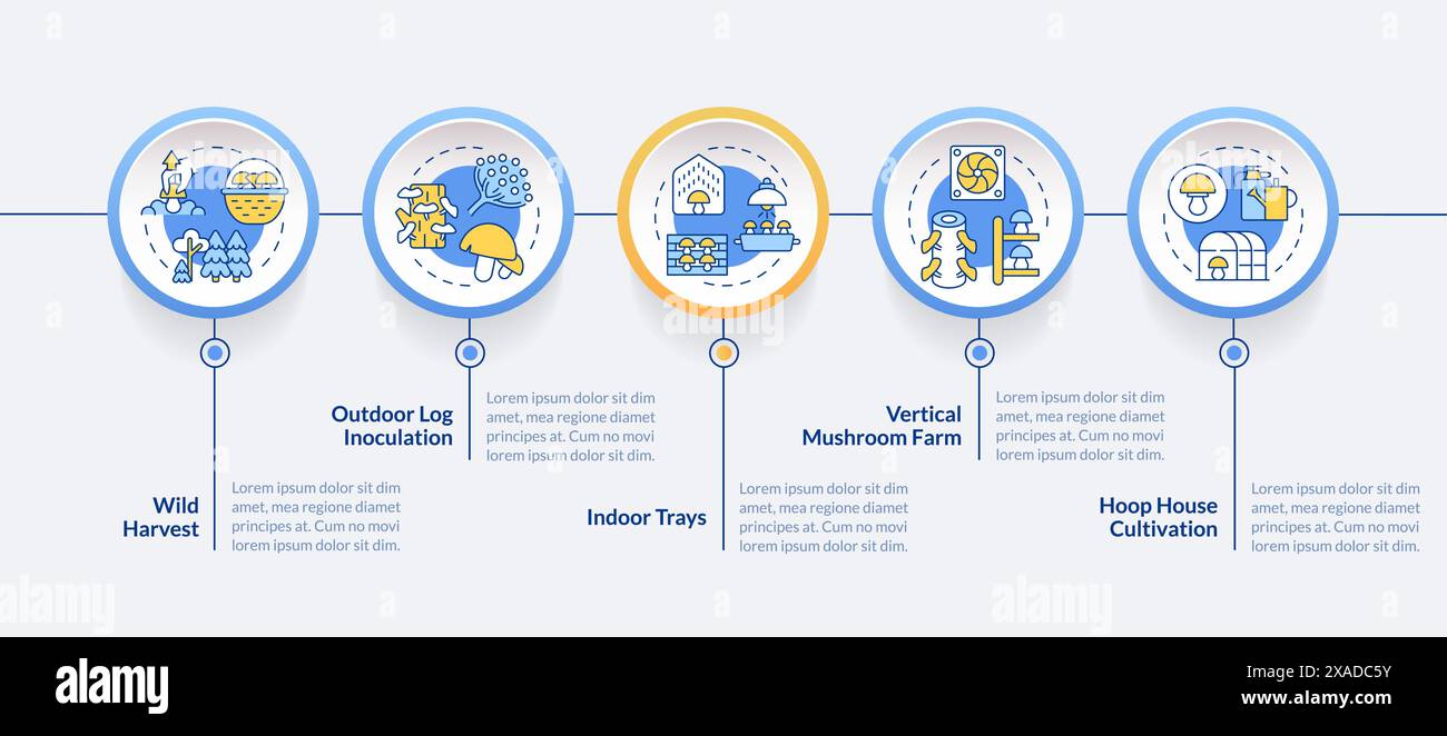 Infografik-Vorlage für Kultivierungstechniken mit blauem Kreis Stock Vektor