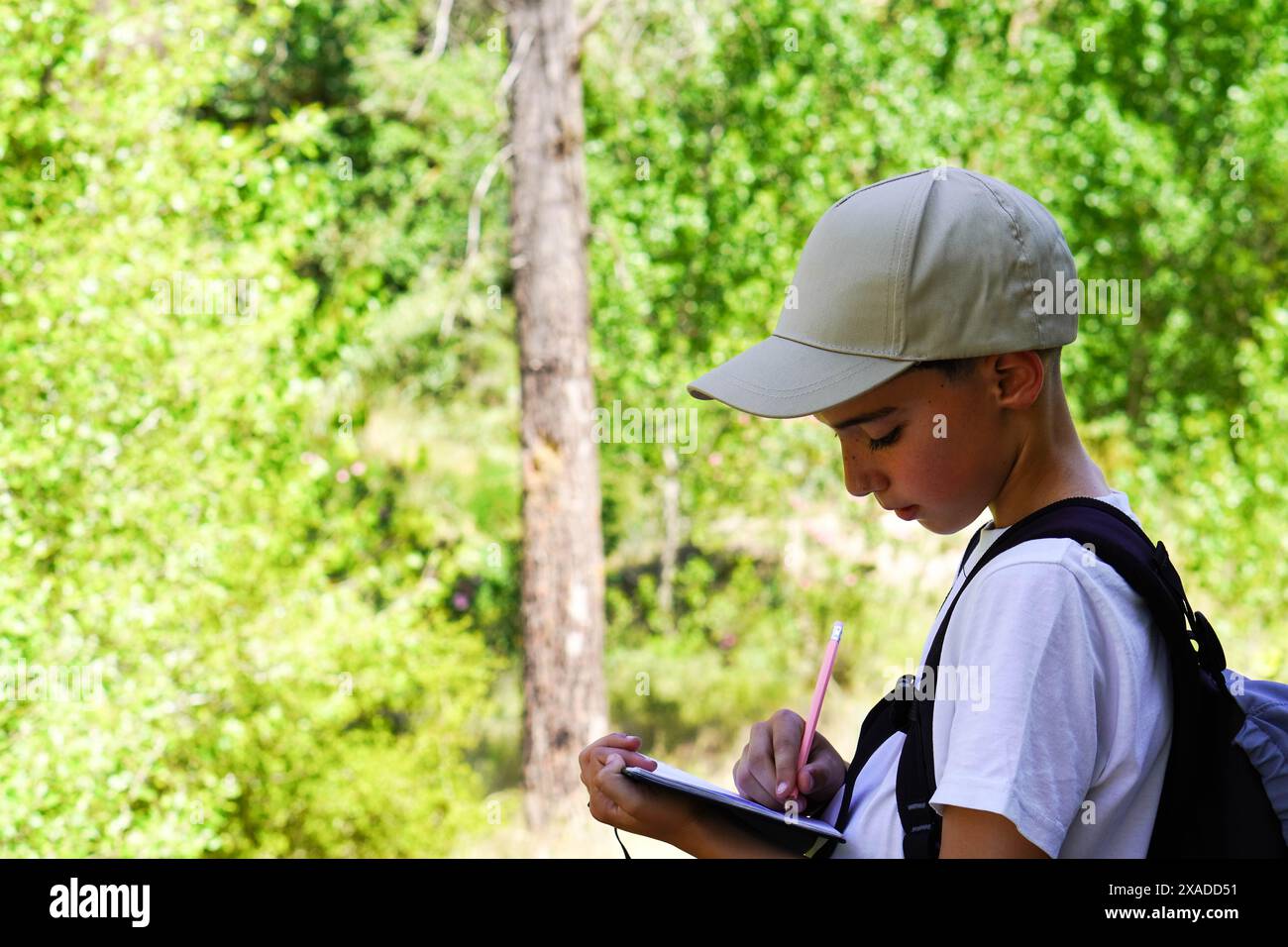 Der vorpubertäre Junge macht Notizen in der Natur. Aktives Lernen und eine tiefere Wertschätzung der Schönheit und Komplexität der natürlichen Welt. Stockfoto