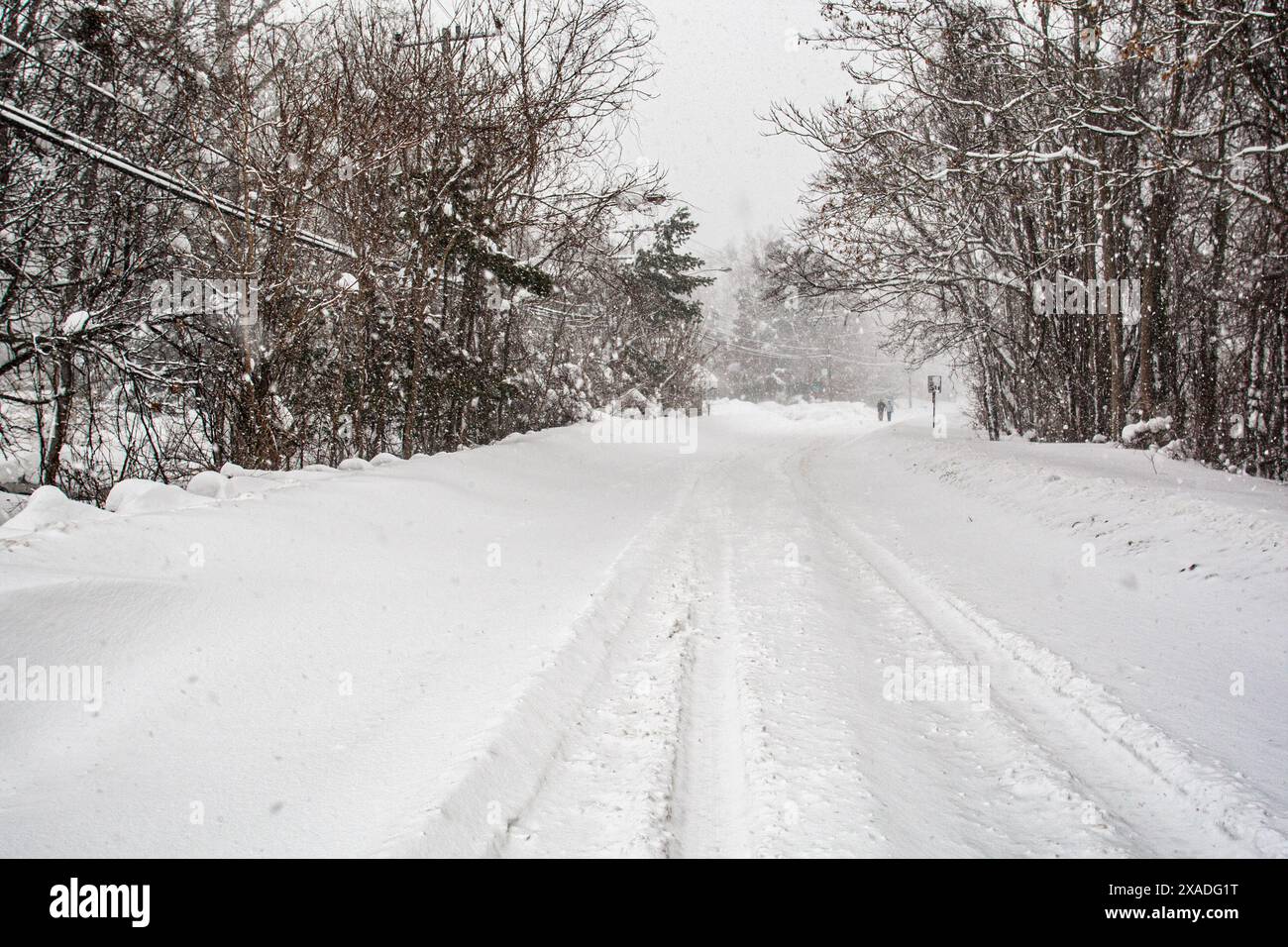 Ein schneebedeckter MacArthur Boulevard in der Nähe von Washington, DC, während des Winterschneesturms 2010. Stockfoto