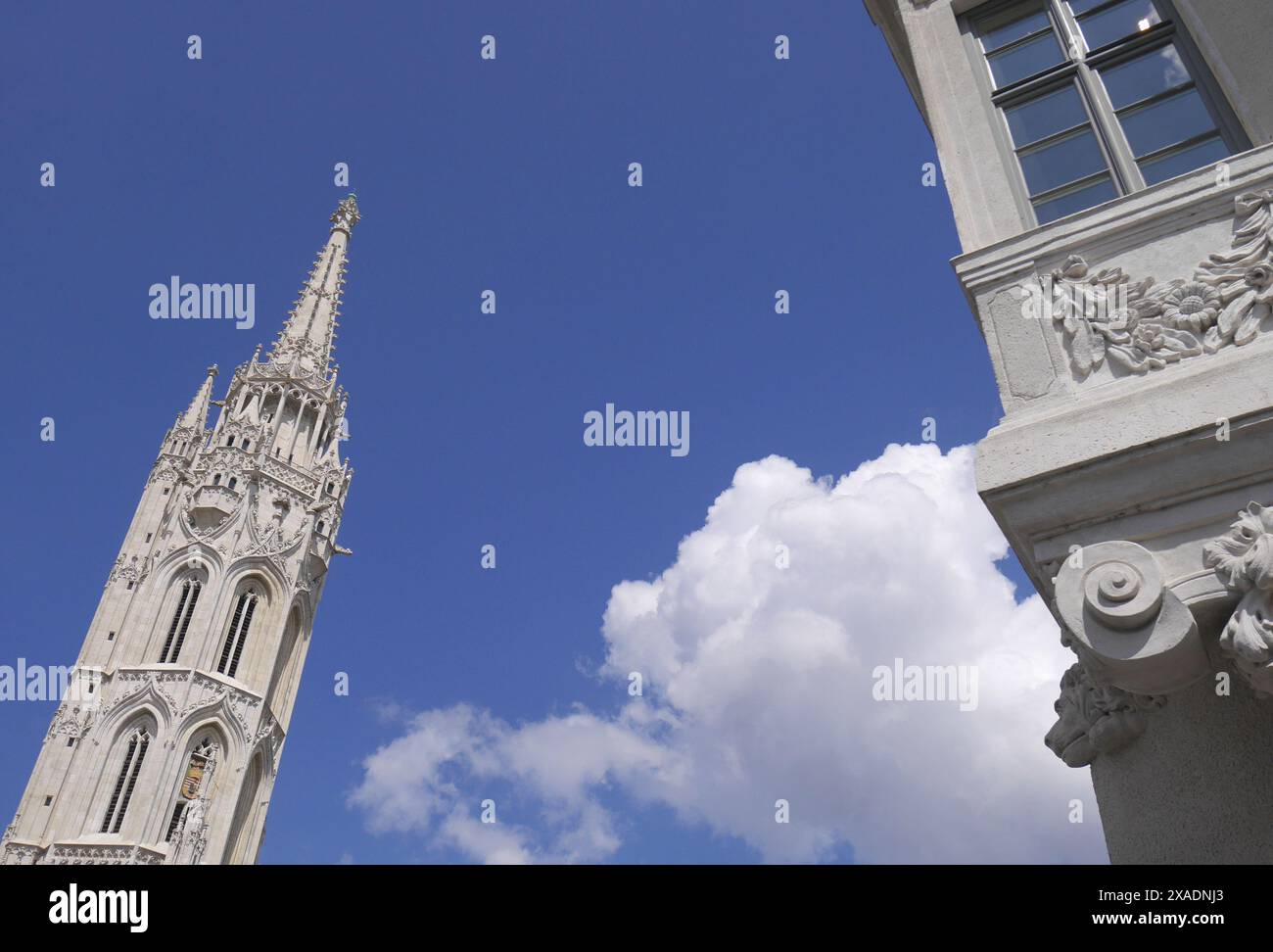 Mátyás-templom, Kirche der Himmelfahrt von Buda, Matthiaskirche, Burgviertel, Budapest, Ungarn Stockfoto