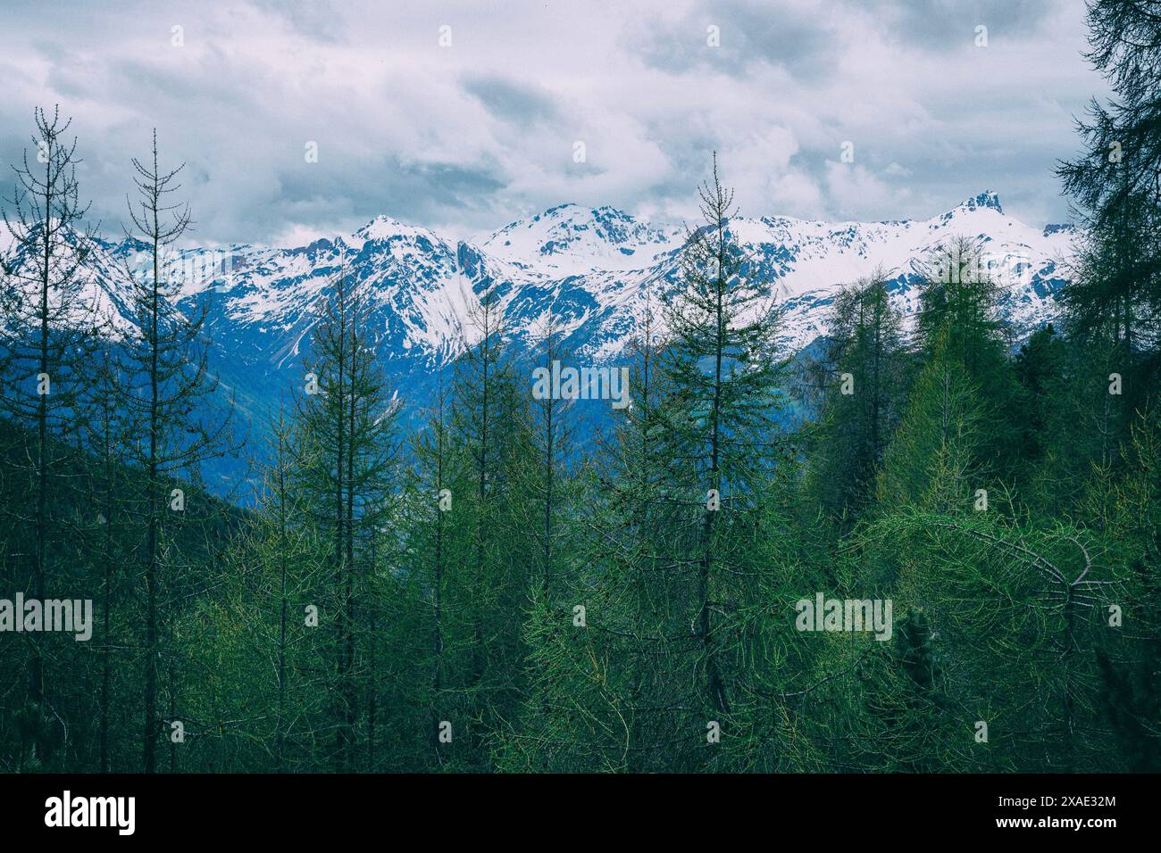 Schweizer Alpen Foto, schneebedeckte Berge, Wald, Annivers, St. Luc, Schweiz Stockfoto