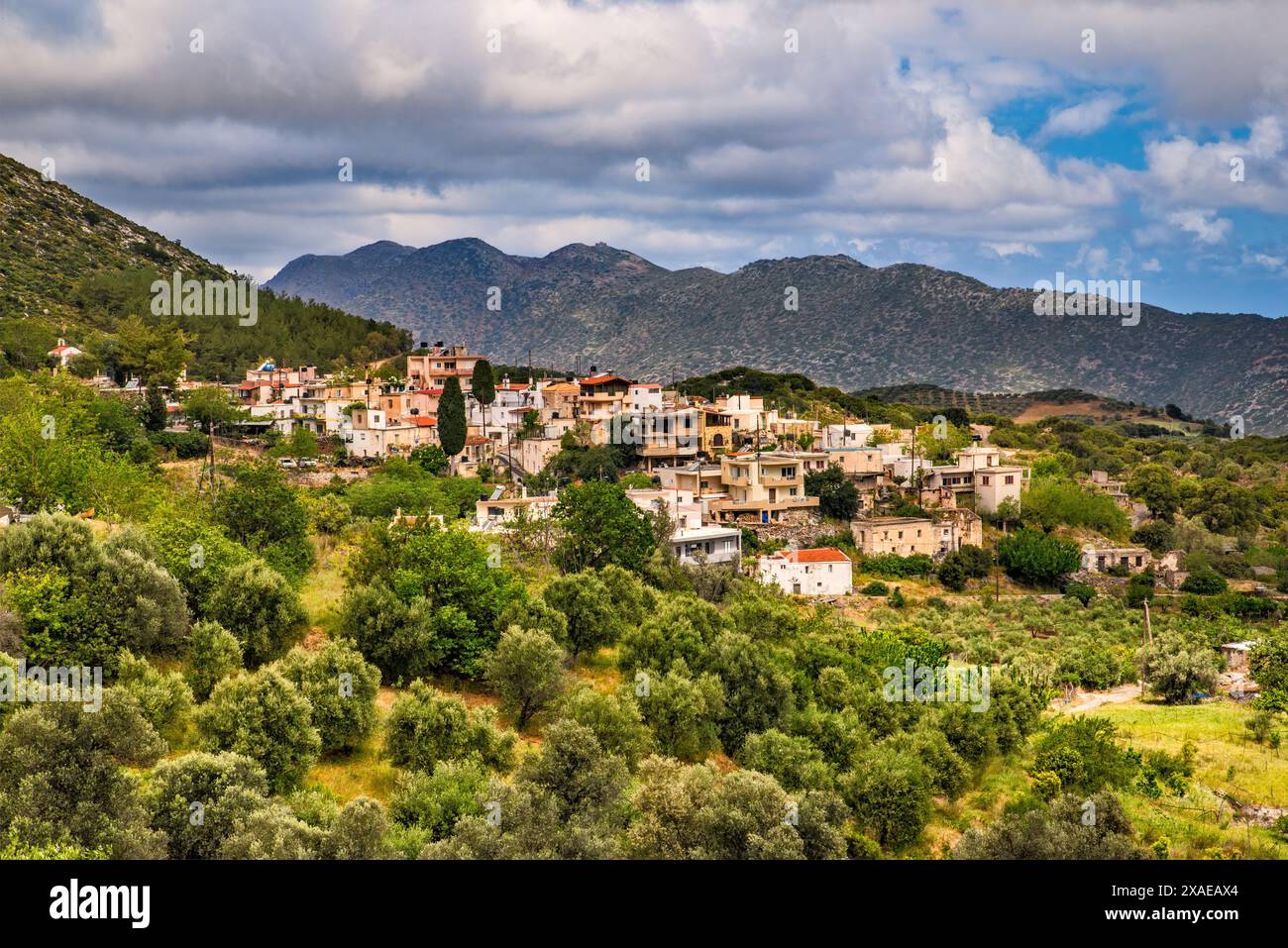 Dorf Marathos, Vitsilokouma Massiv in der Ferne, Psiloritis Geopark, in der Nähe von Heraklion (Iraklio, Iraklion), Zentralkreta, Griechenland Stockfoto