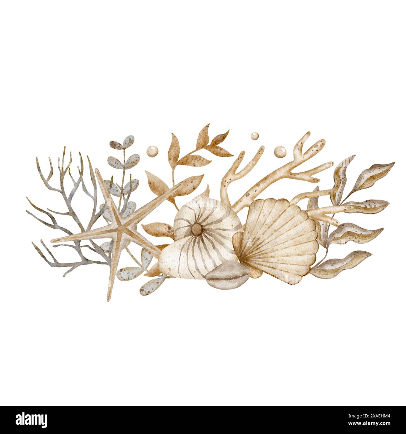 Zusammensetzung von Muscheln, Seesternen, Korallen, Algen im Aquarellstil. Illustration für Kinderkarten, Einladungen, Geschirr, Verpackung, Druck Stockfoto