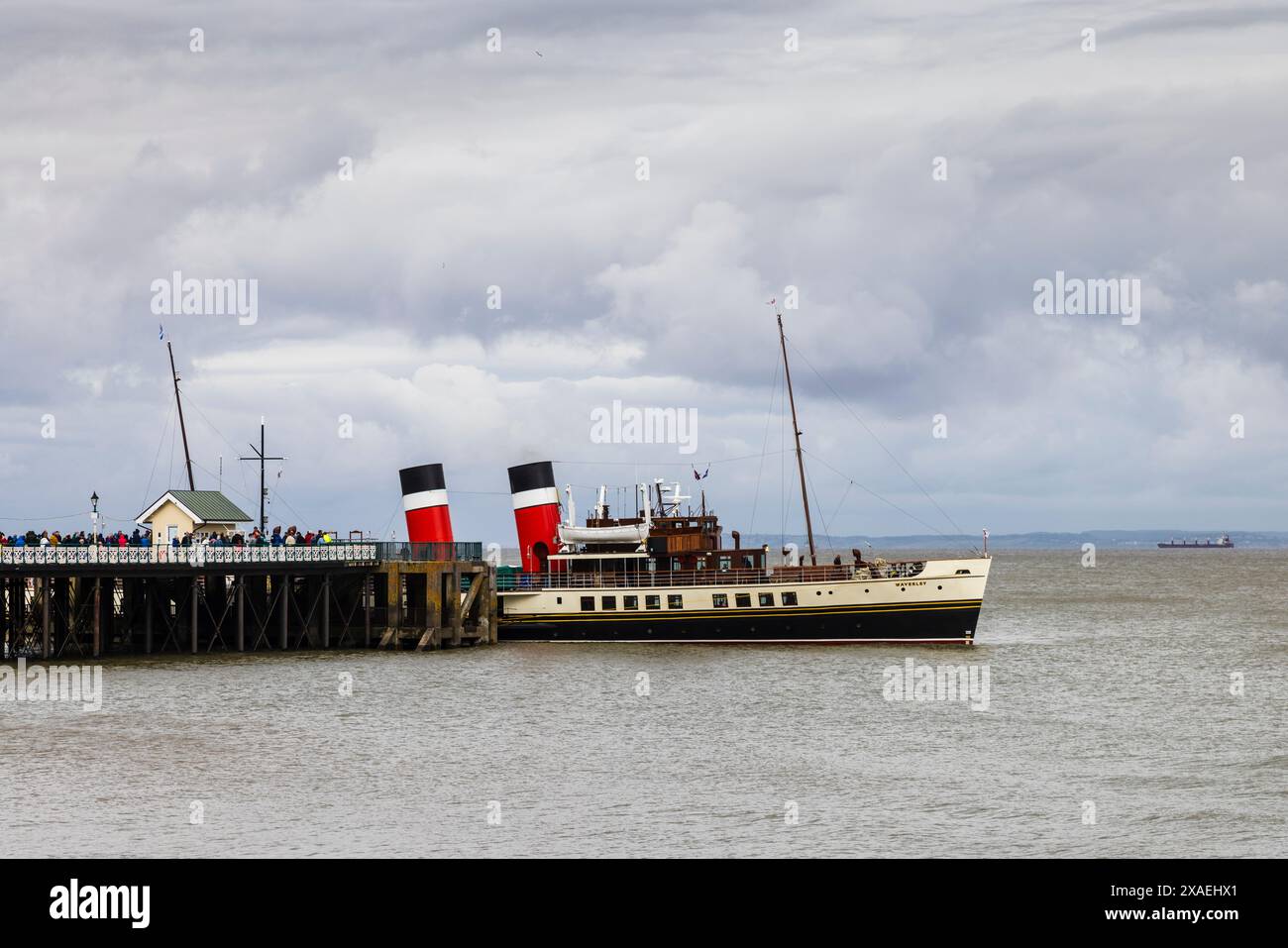 Der Waverley-Raddampfer am Penarth Pier Stockfoto