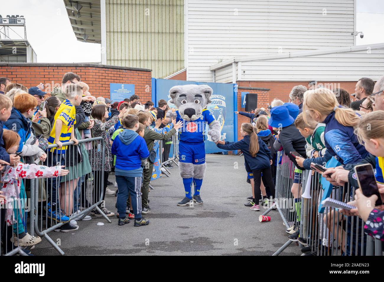 Warrington, Cheshire, Großbritannien. Juni 2024. Warrington Wolves verließ das Halliwell Jones Stadium am 6. Juni 2024 und zog in Richtung Wembley Stadium, um das Finale des Rugby Football League Challenge Cup gegen Wigan zu erreichen. Die Unterstützer waren da, um sie abzuhauen. Wolfie, das Maskottchen, begrüßte die Unterstützer Credit: John Hopkins/Alamy Live News Stockfoto