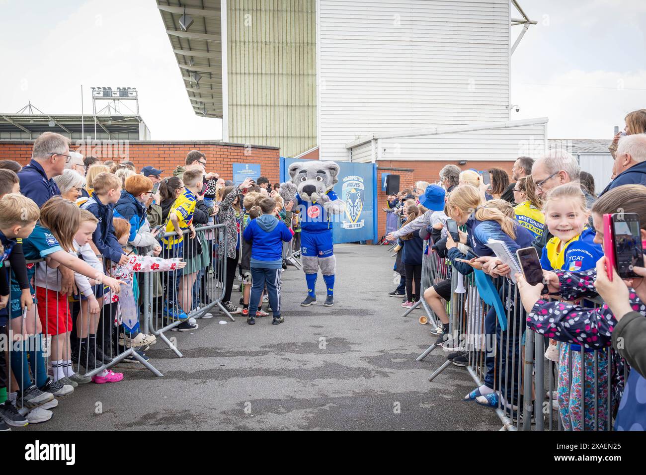 Warrington, Cheshire, Großbritannien. Juni 2024. Warrington Wolves verließ das Halliwell Jones Stadium am 6. Juni 2024 und zog in Richtung Wembley Stadium, um das Finale des Rugby Football League Challenge Cup gegen Wigan zu erreichen. Die Unterstützer waren da, um sie abzuhauen. Wolfie, das Maskottchen, begrüßte die Unterstützer Credit: John Hopkins/Alamy Live News Stockfoto