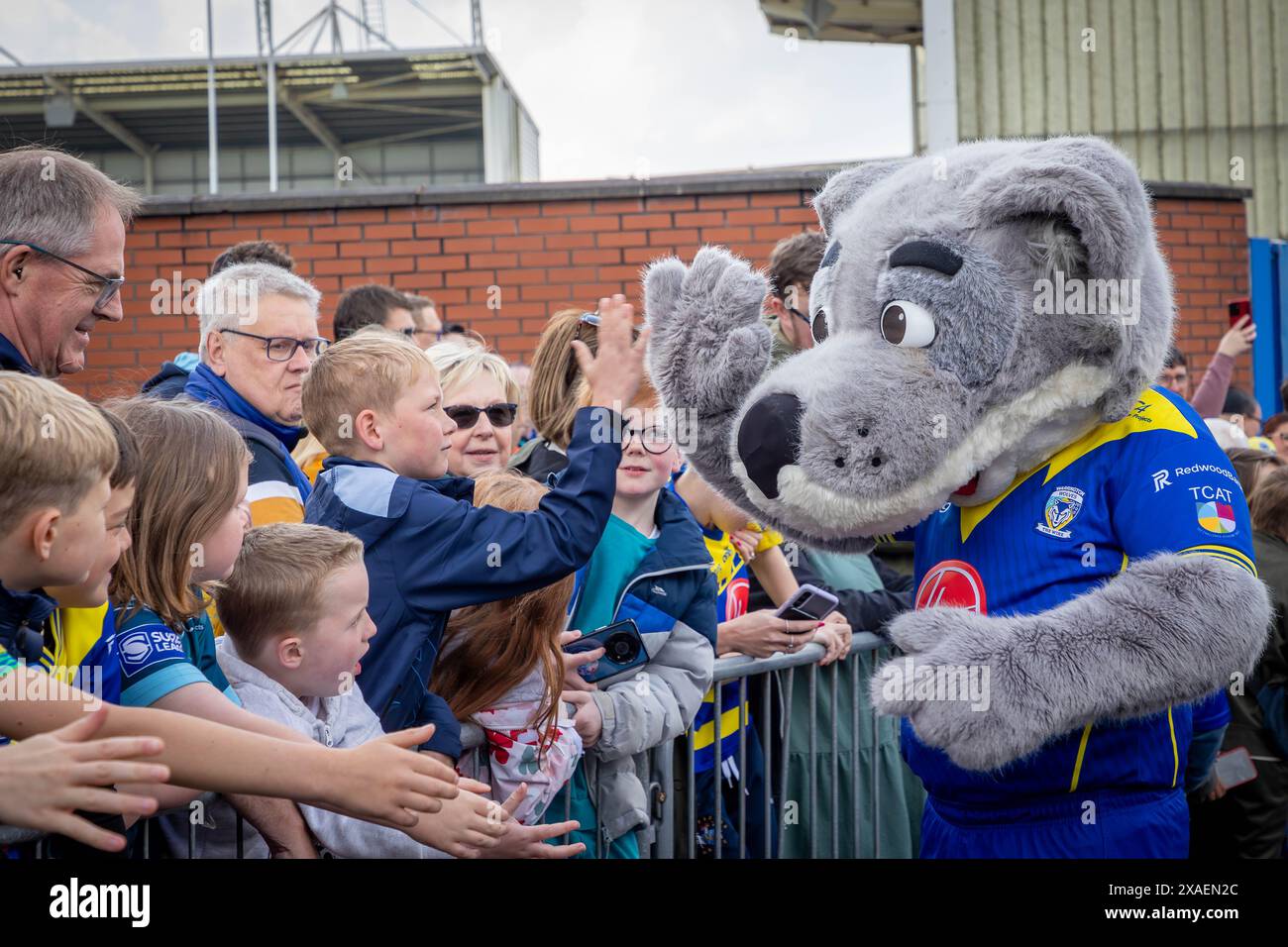 Warrington, Cheshire, Großbritannien. Juni 2024. Warrington Wolves verließ das Halliwell Jones Stadium am 6. Juni 2024 und zog in Richtung Wembley Stadium, um das Finale des Rugby Football League Challenge Cup gegen Wigan zu erreichen. Die Unterstützer waren da, um sie abzuhauen. Wolfie, das Maskottchen, begrüßte die Unterstützer Credit: John Hopkins/Alamy Live News Stockfoto