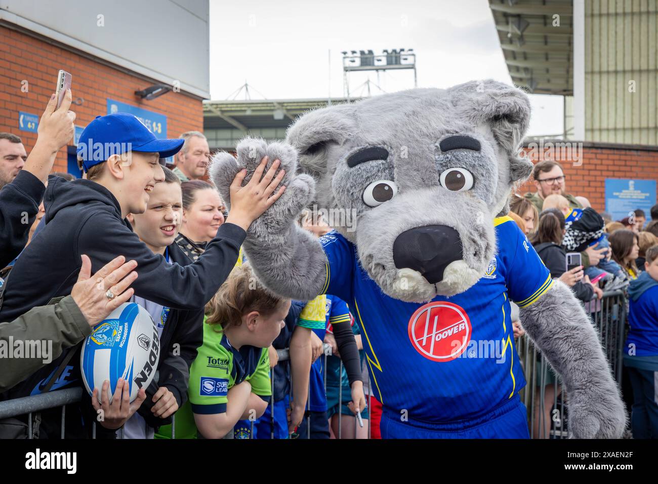 Warrington, Cheshire, England – 6. Juni 2024 – Warrington Wolves verließ das Halliwell Jones Stadium am 6. Juni 2024 und machte sich auf den Weg in Richtung Wembley Stadium, um das Finale des Rugby Football League Challenge Cup gegen Wigan zu erreichen. Die Unterstützer waren da, um sie abzuhauen. Wolfie, das Maskottchen, kam heraus, um die Anhänger zu begrüßen Stockfoto