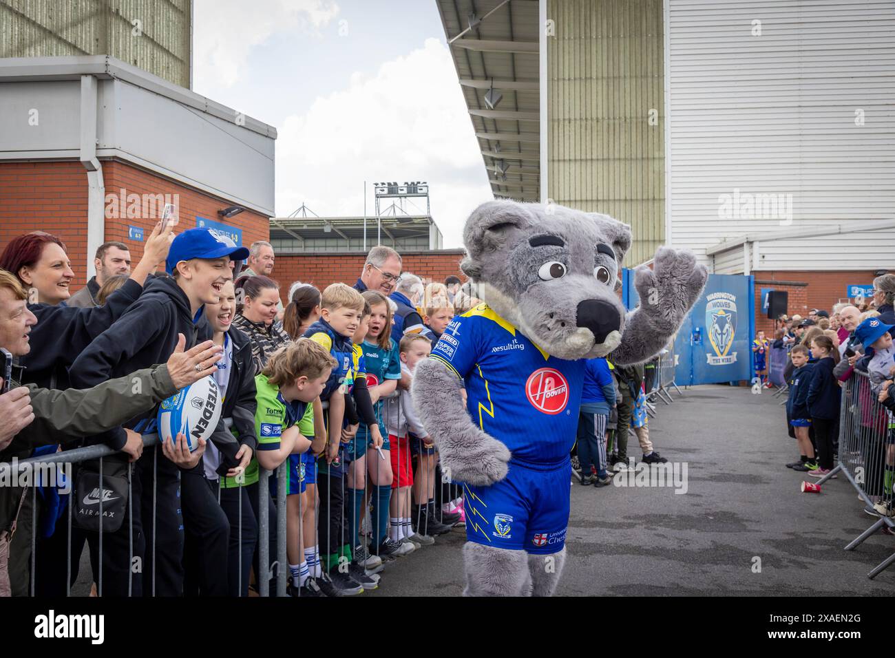 Warrington, Cheshire, England – 6. Juni 2024 – Warrington Wolves verließ das Halliwell Jones Stadium am 6. Juni 2024 und machte sich auf den Weg in Richtung Wembley Stadium, um das Finale des Rugby Football League Challenge Cup gegen Wigan zu erreichen. Die Unterstützer waren da, um sie abzuhauen. Wolfie, das Maskottchen, kam heraus, um die Anhänger zu begrüßen Stockfoto