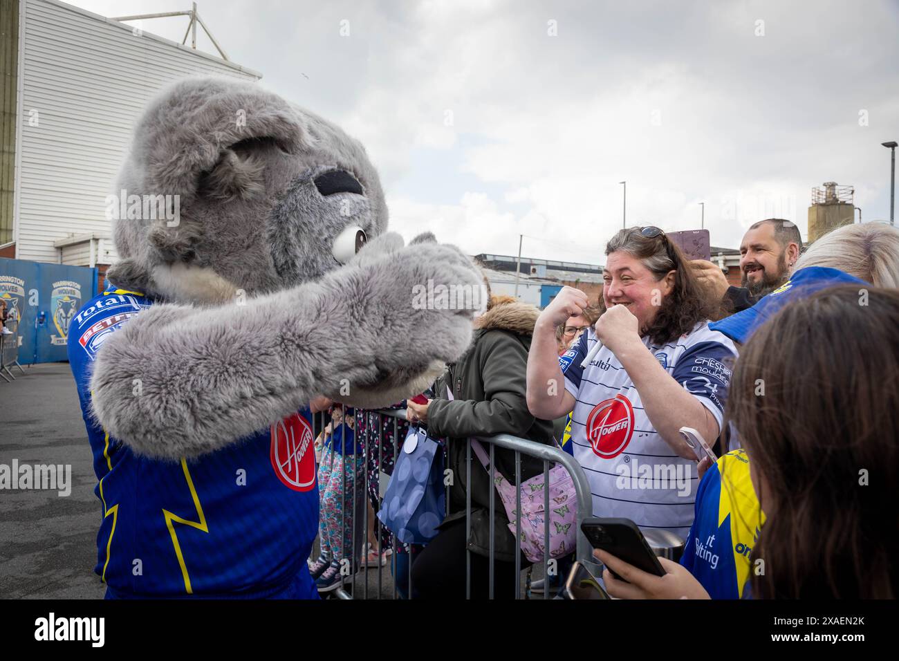 Warrington, Cheshire, Großbritannien. Juni 2024. Warrington Wolves verließ das Halliwell Jones Stadium am 6. Juni 2024 und zog in Richtung Wembley Stadium, um das Finale des Rugby Football League Challenge Cup gegen Wigan zu erreichen. Die Unterstützer waren da, um sie abzuhauen. Wolfie, das Maskottchen, begrüßte die Unterstützer Credit: John Hopkins/Alamy Live News Stockfoto