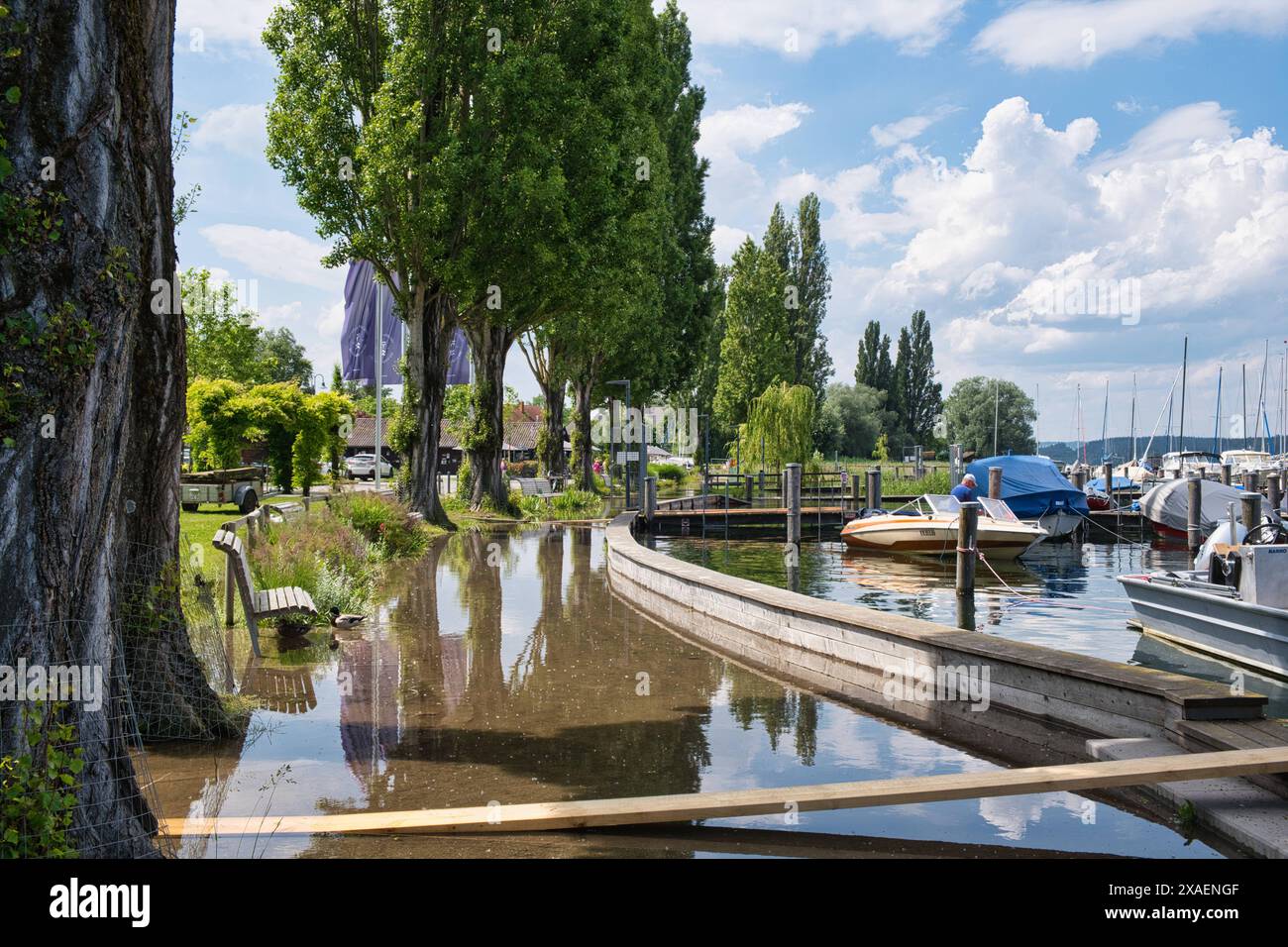 Insel Reichenau, überfluteter Uferweg am Yachthafen *** Insel Reichenau, überfluteter Uferweg am Yachthafen Stockfoto