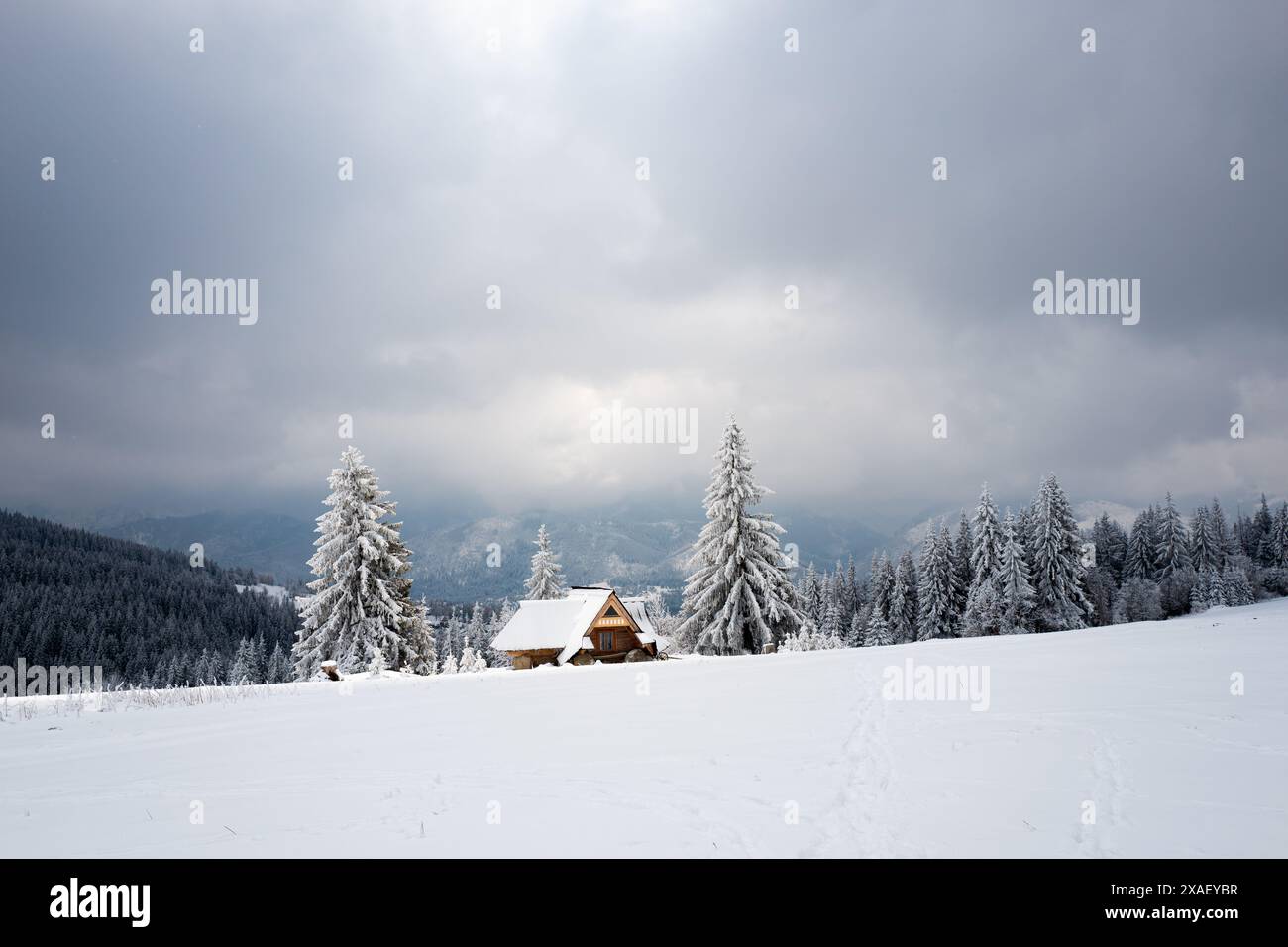 Haus auf einem Berg vor der Kulisse eines Waldes Stockfoto