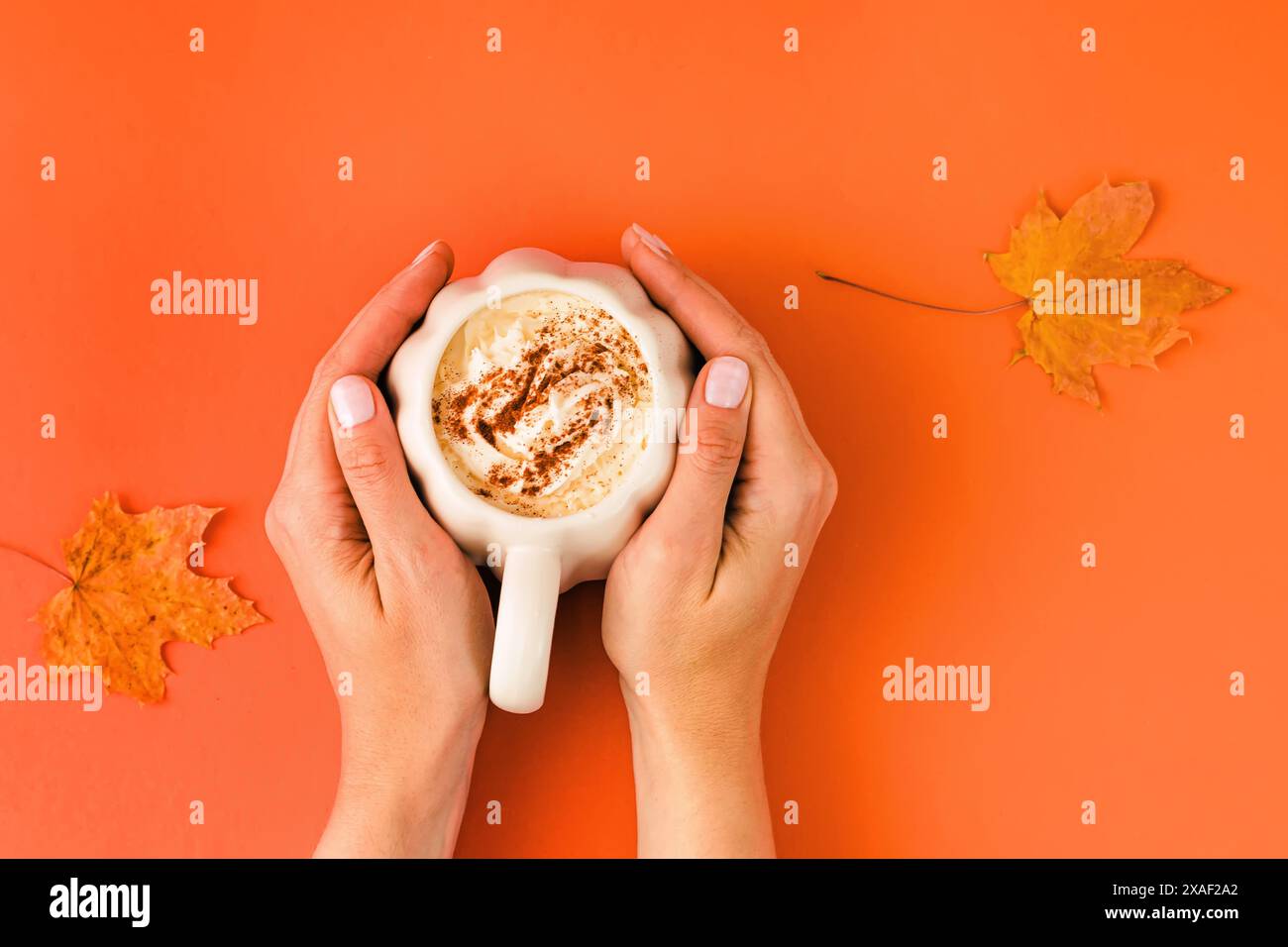 Frau, die einen Kürbisbecher mit herbstlicher Gewürzlatte oder heißem Schokoladengetränk hält, Blick von oben Stockfoto