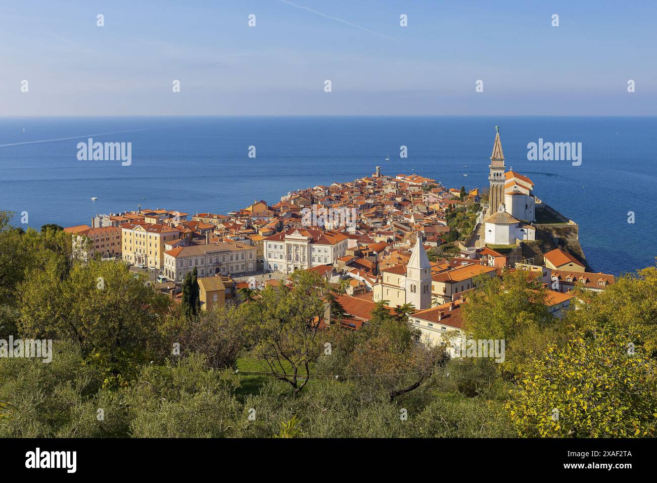 Panoramafoto von roten Ziegeldächern der alten slowenischen Stadt Piran mit Adria am Horizont unter blauem Himmel am sonnigen Sommertag Stockfoto