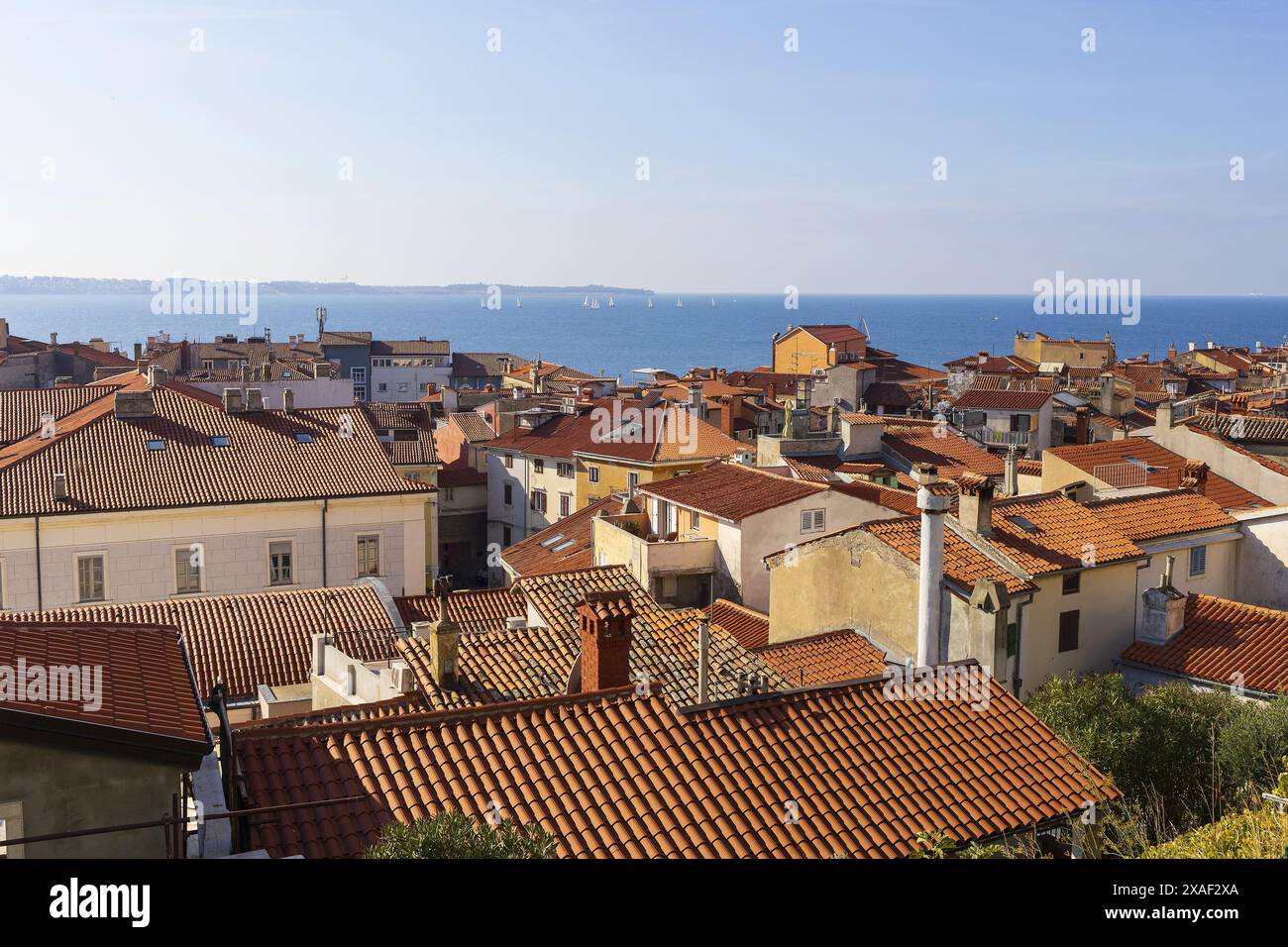 Panoramafoto von roten Ziegeldächern der alten slowenischen Stadt Piran mit Adria am Horizont unter blauem Himmel am sonnigen Sommertag Stockfoto