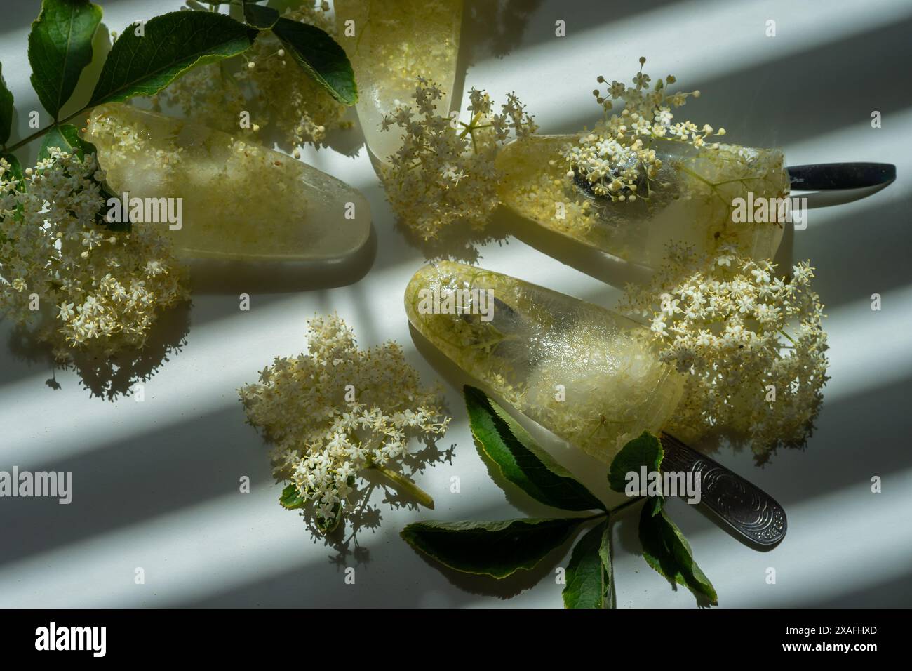 Gefrorene weiße Holunderblüten in Wasser in Form von Eis auf einem weißen Tisch. Stockfoto