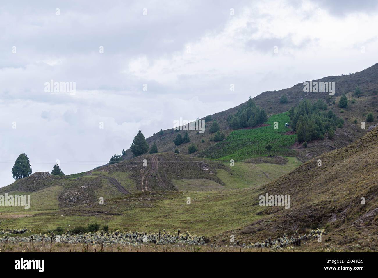 moorlandschaft, in der offensichtlich ist, wie Kartoffelanbau in das Naturschutzgebiet eindringt Stockfoto