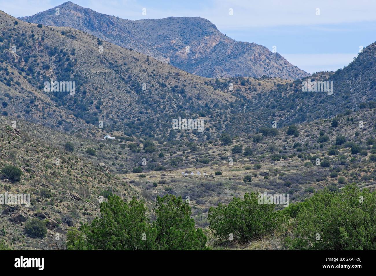 Fort Bowie National Historic Site im Apache Pass der Chihuahuan Wüste Stockfoto