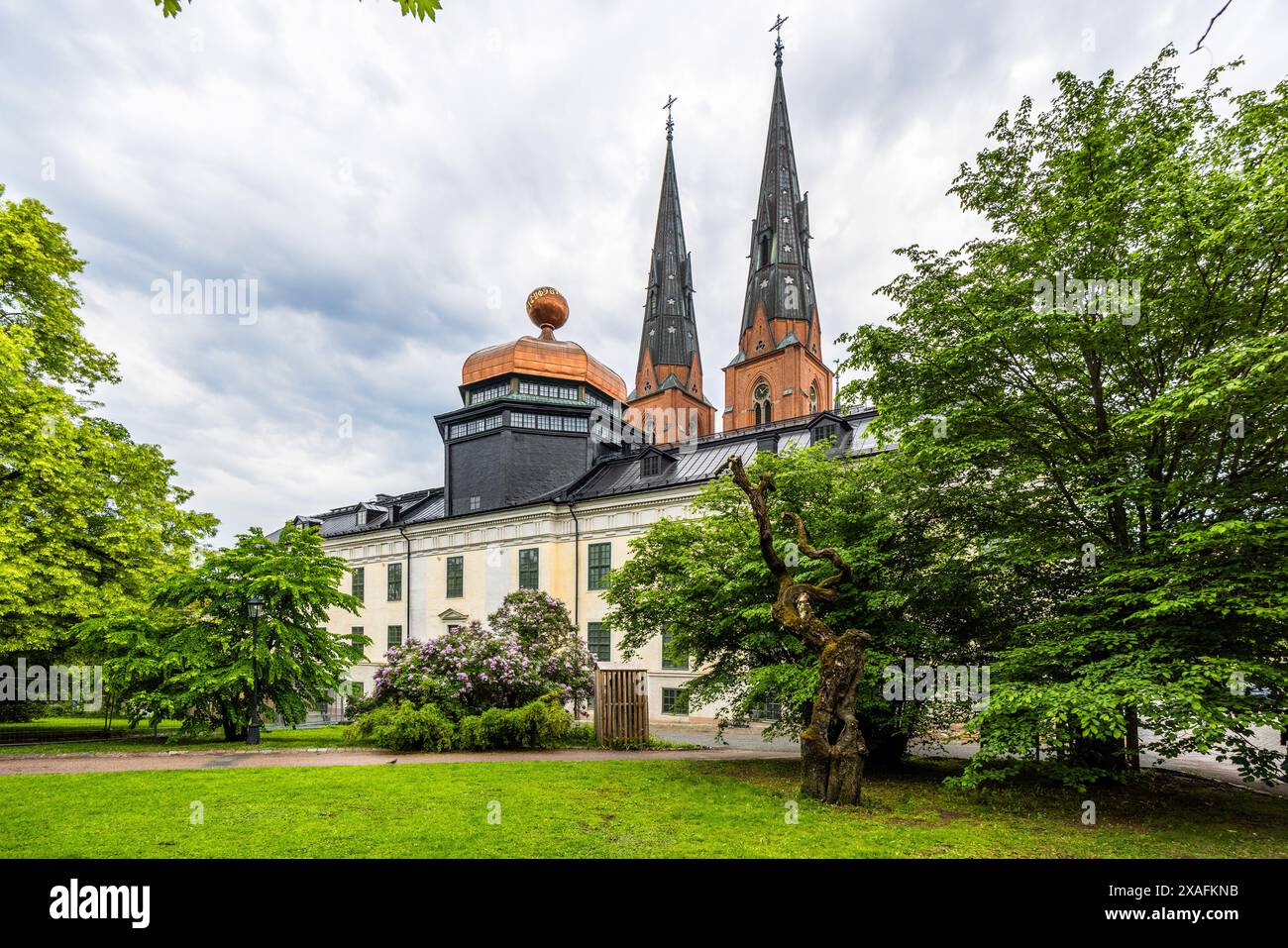 Blick vom Uppsala University Park zum Gustavianum mit neuer Kuppel und den Türmen der Kathedrale. Biskopsgatan, Uppsala, Schweden Stockfoto