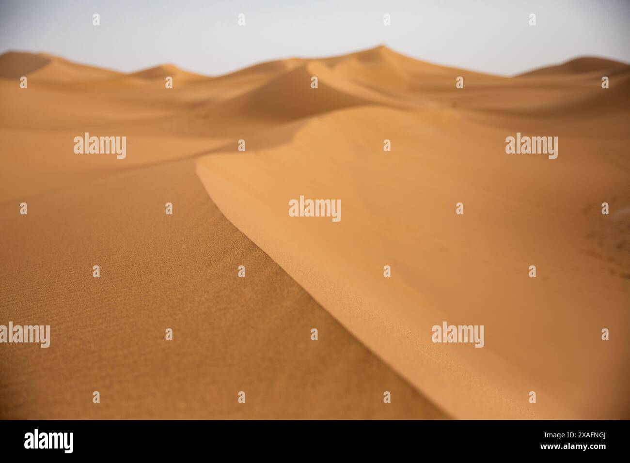 Sanddünen erstrecken sich so weit das Auge reicht von Erg Chigaga in der Nähe von M'Hamid, Marokko am westlichen Rand der Sahara Stockfoto