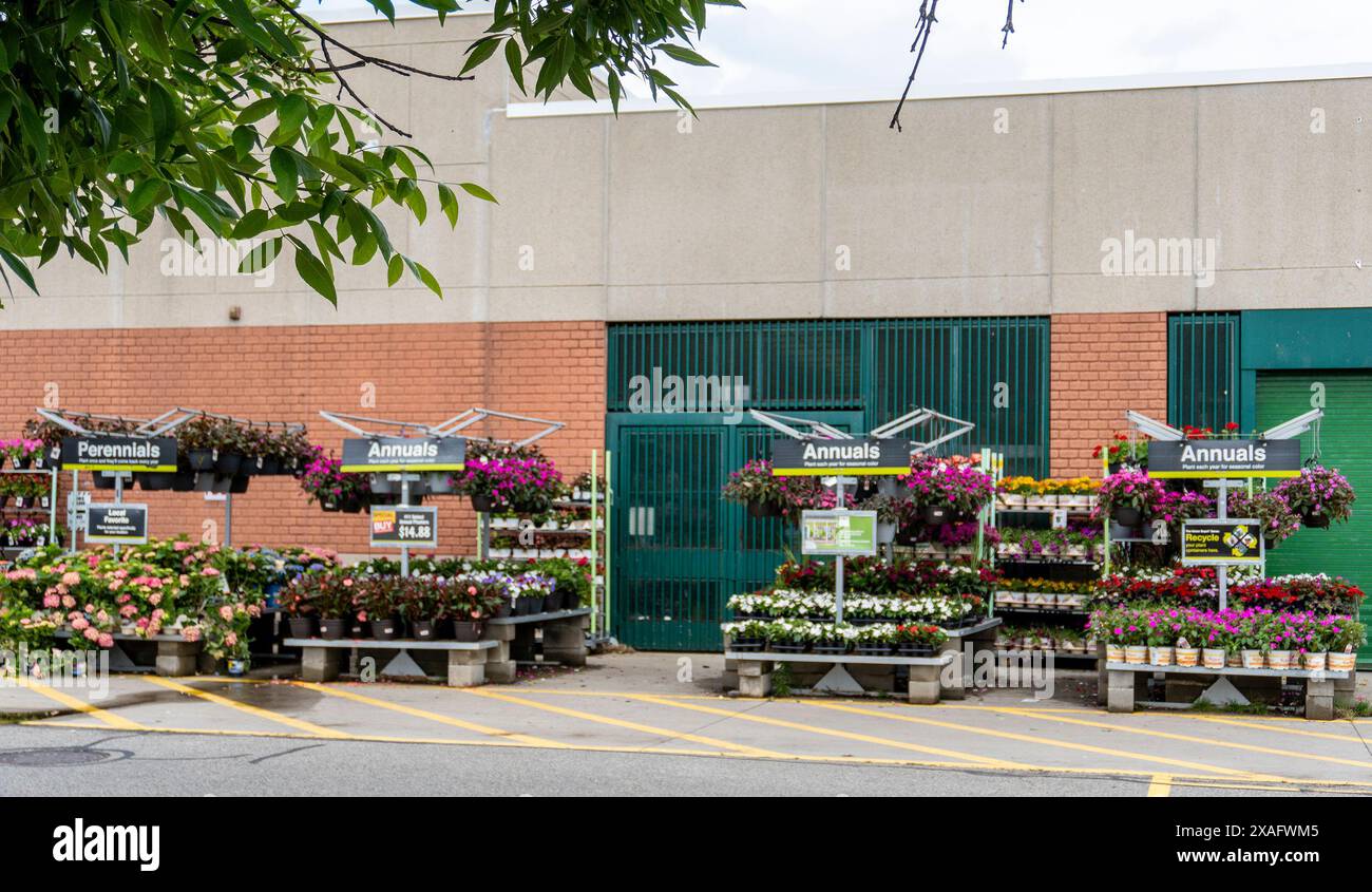 Pflanzen werden in einer Baumschule von Home Depot ausgestellt Stockfoto