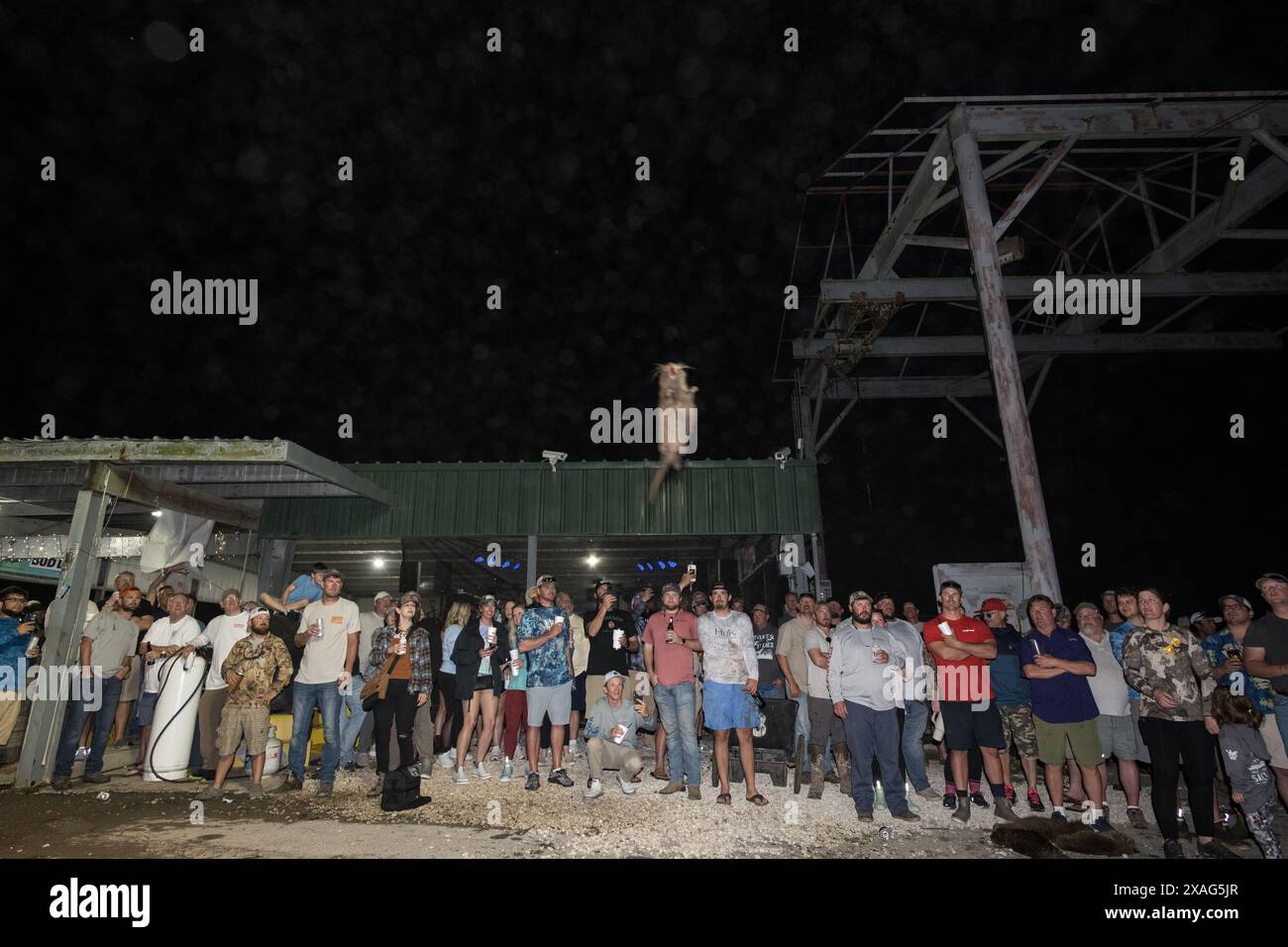 Der Teilnehmer schleudert beim jährlichen Nutria Rodeo in Louisiana einen toten Nutria Werf beim Wettbewerb „Nutria Werft“, bei dem die Jagd auf das invasive Nagetier gefördert wird. Stockfoto