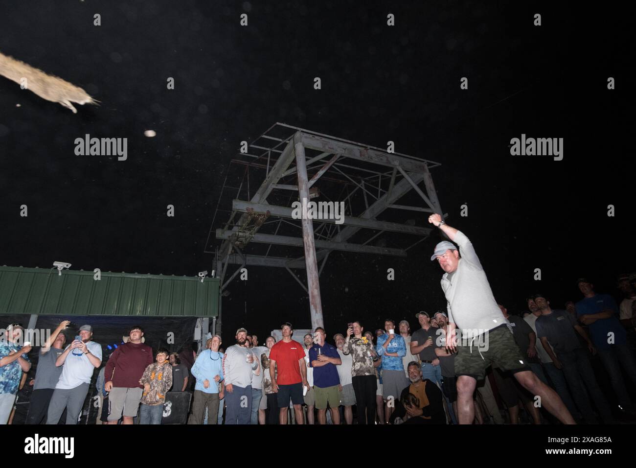 Der Teilnehmer schleudert beim jährlichen Nutria Rodeo in Louisiana einen toten Nutria Werf beim Wettbewerb „Nutria Werft“, bei dem die Jagd auf das invasive Nagetier gefördert wird. Stockfoto