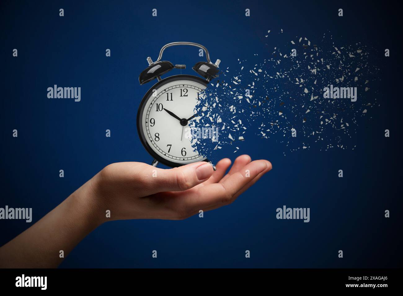 Die Zeit wird knapp. Frau mit auflösendem Wecker auf blauem Hintergrund, Nahaufnahme Stockfoto